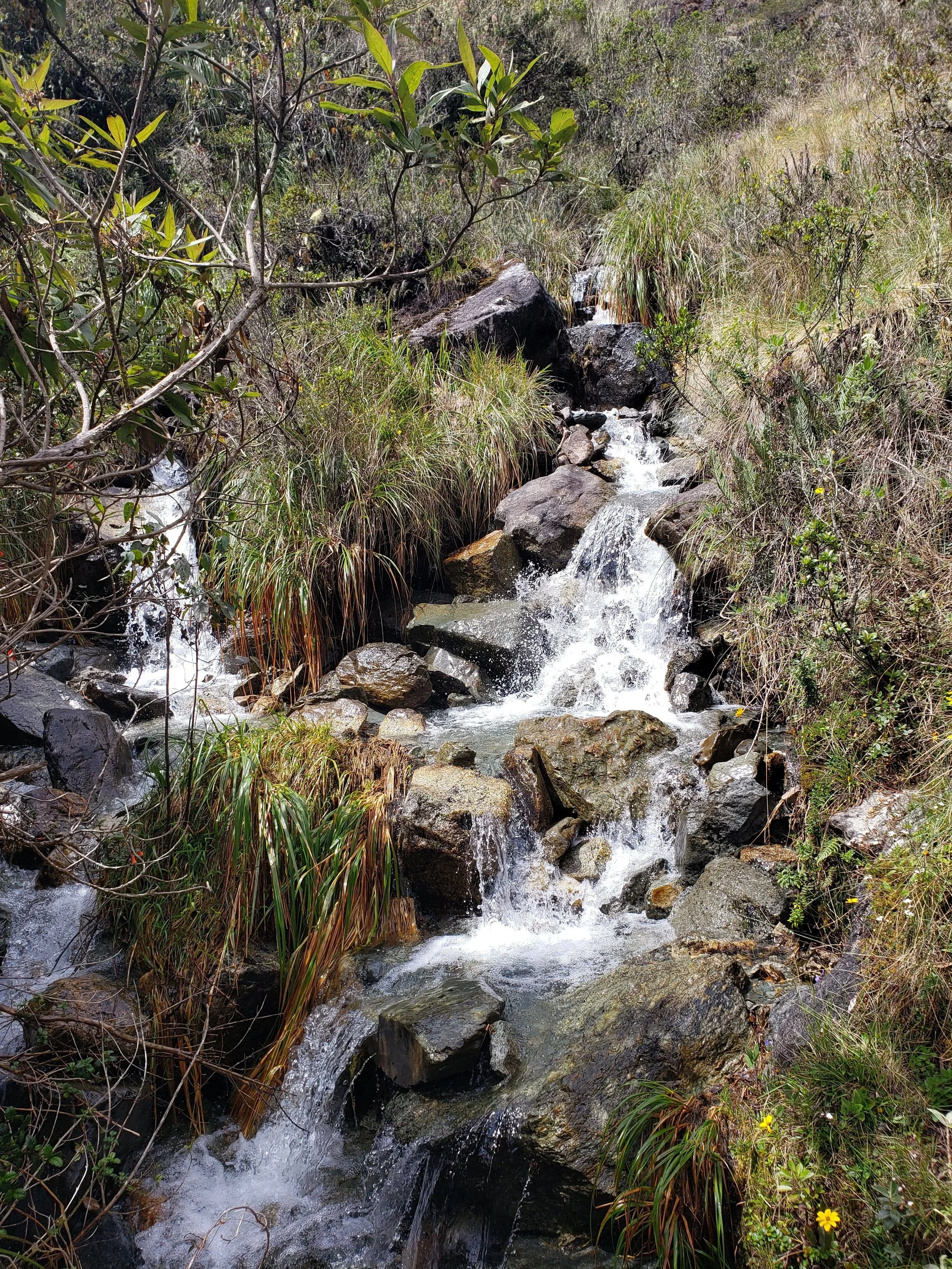 20190414_104654.jpg