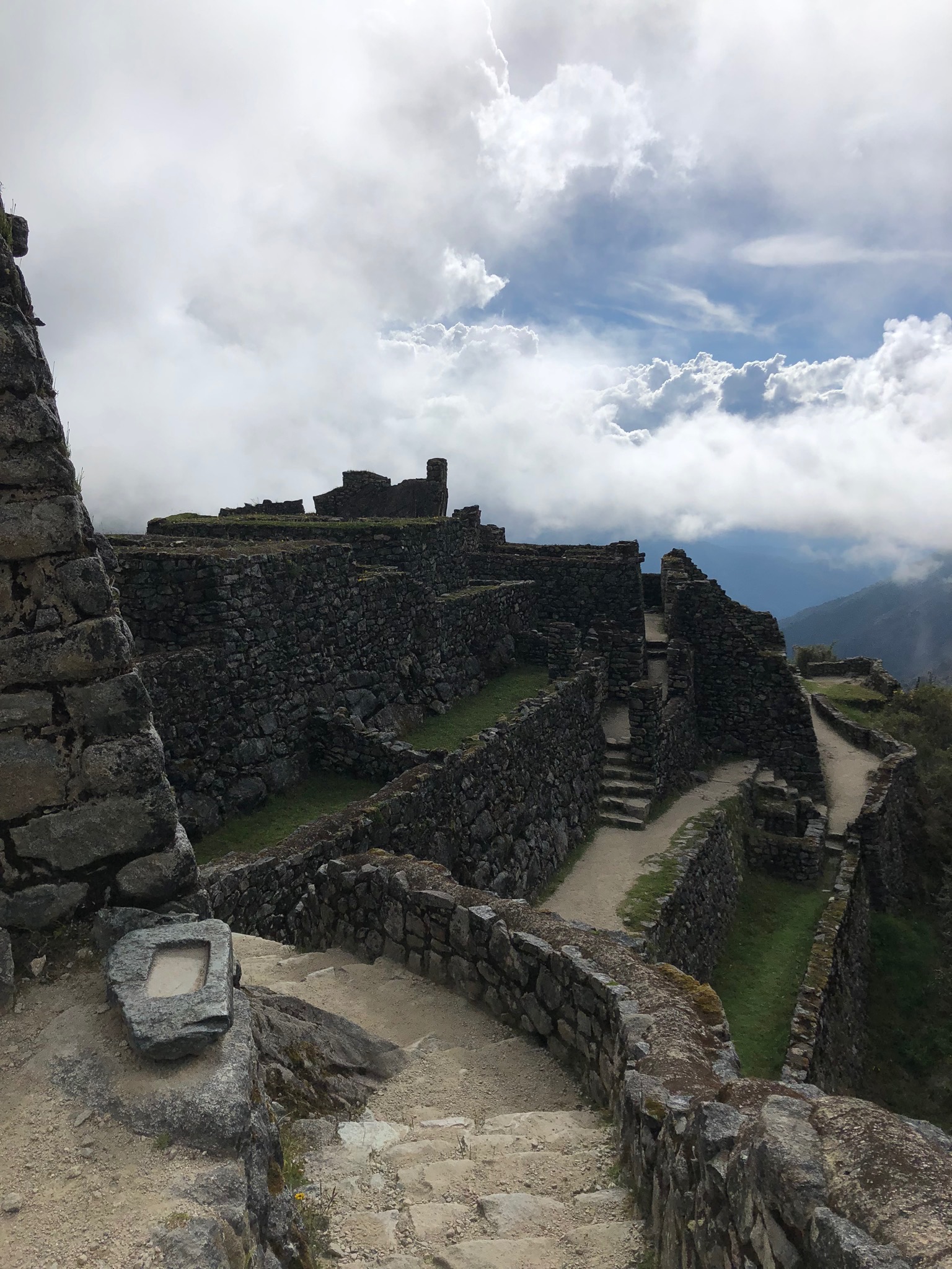 IMG_0067.jpeg