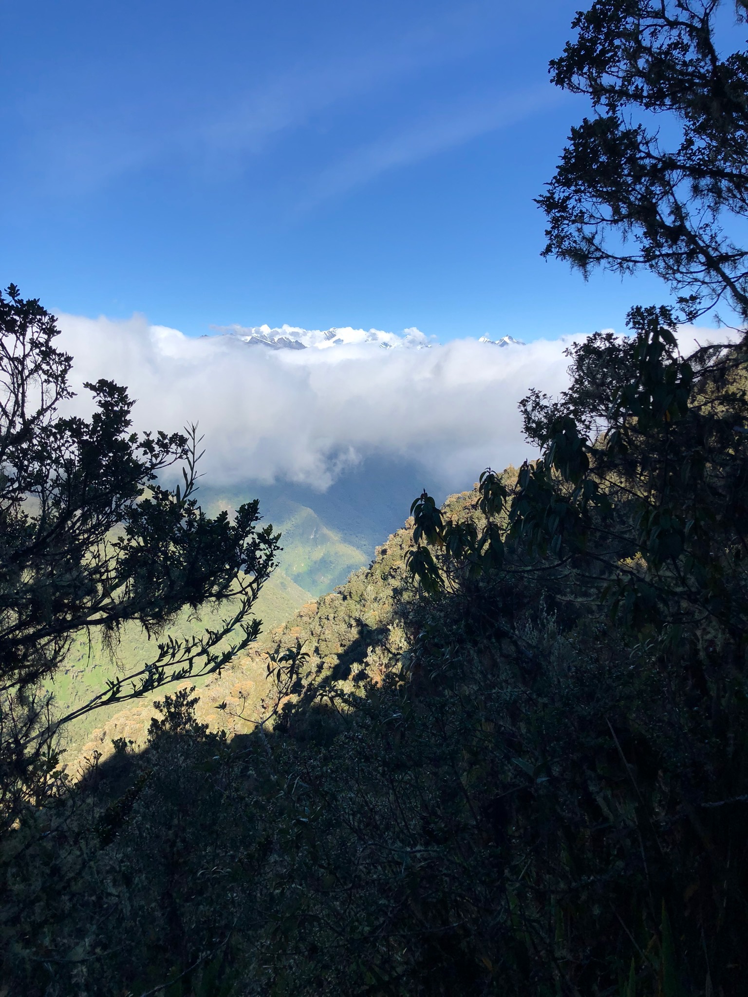 IMG_0083.jpeg