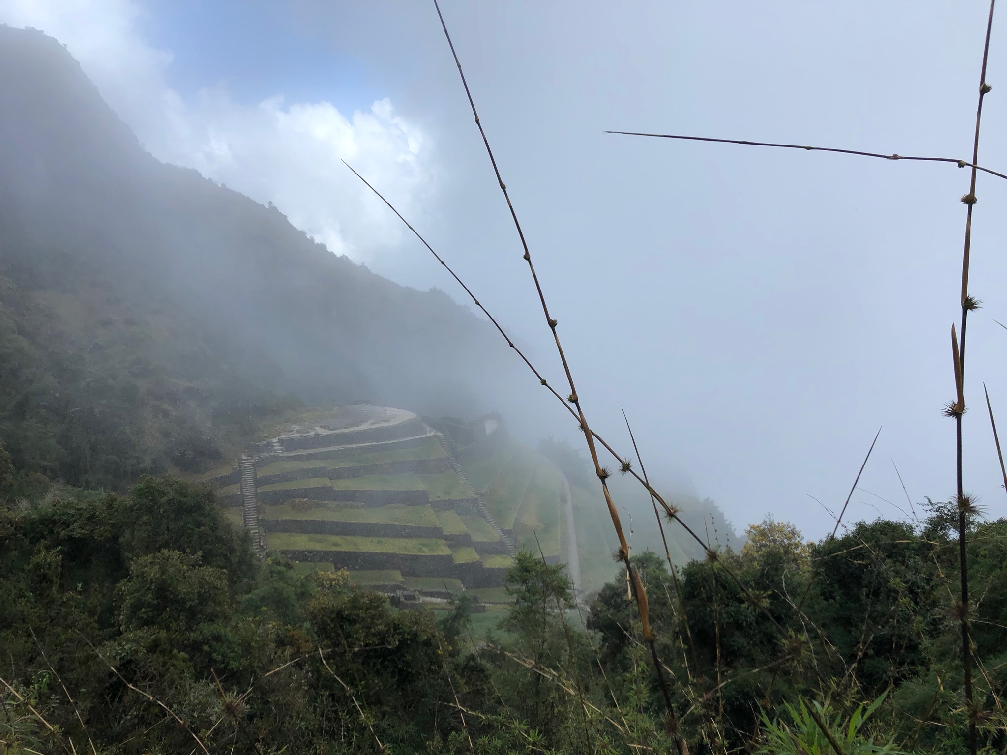 IMG_0094.jpeg