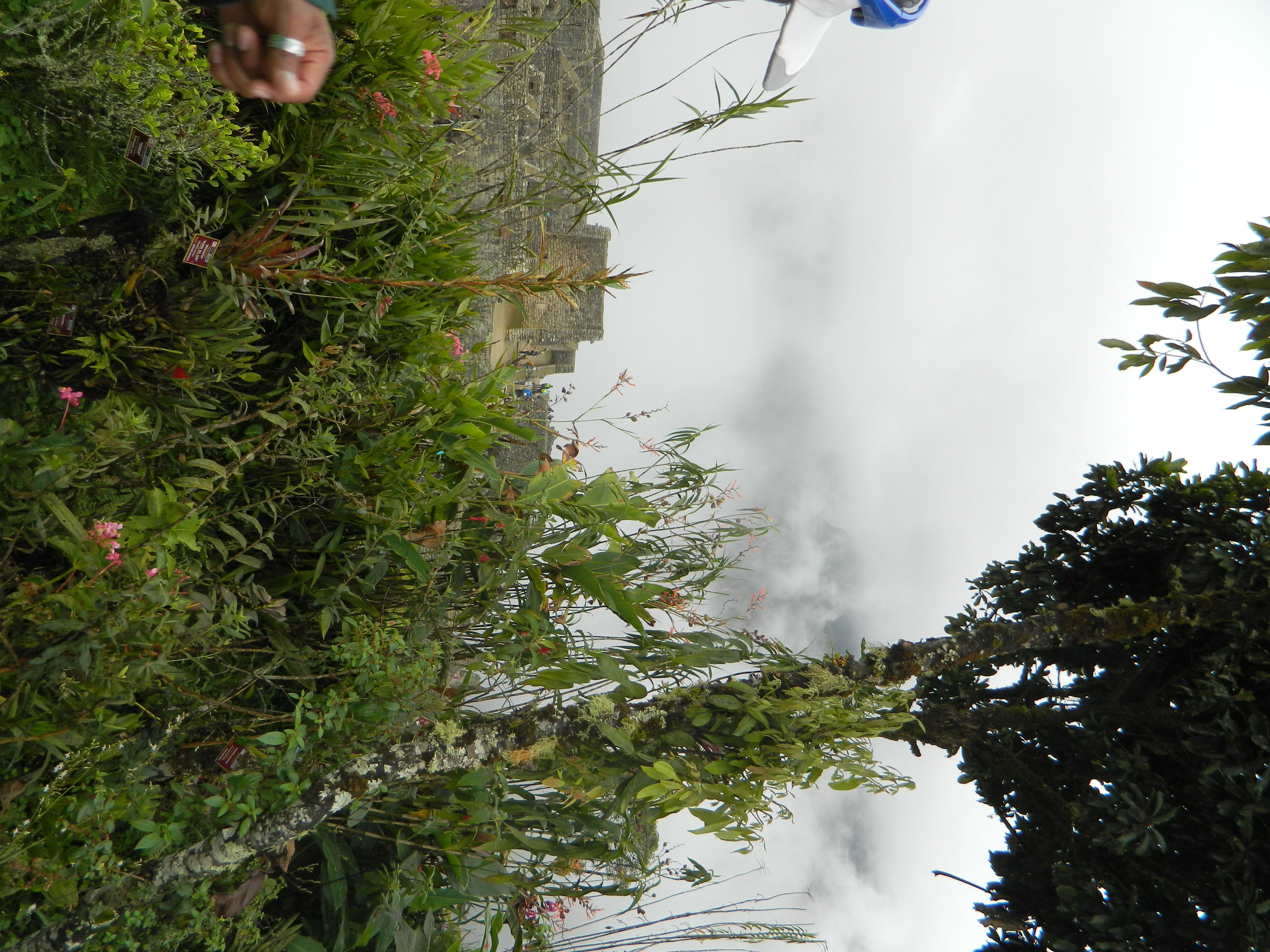 DSCN3940.JPG