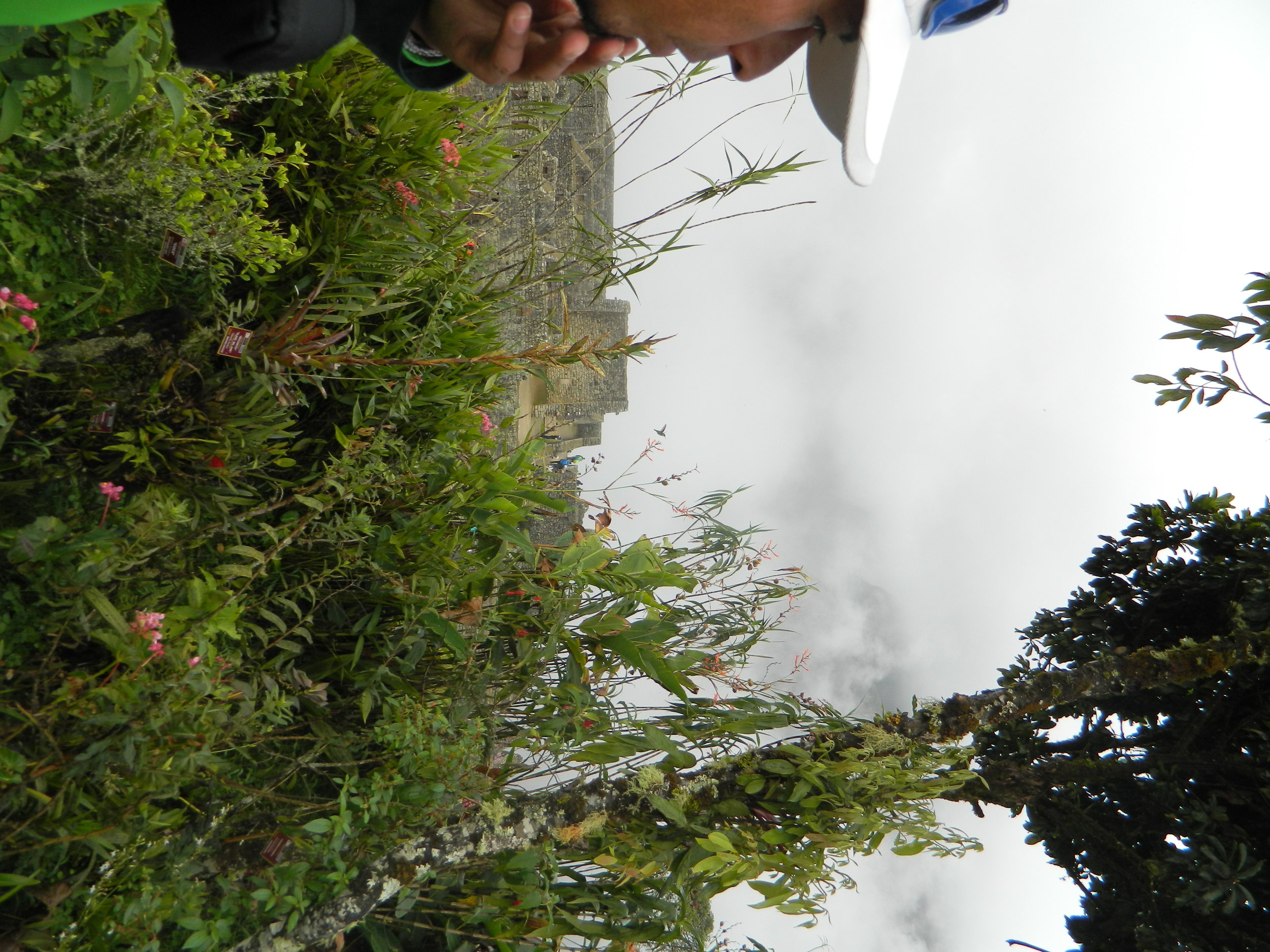 DSCN3941.JPG
