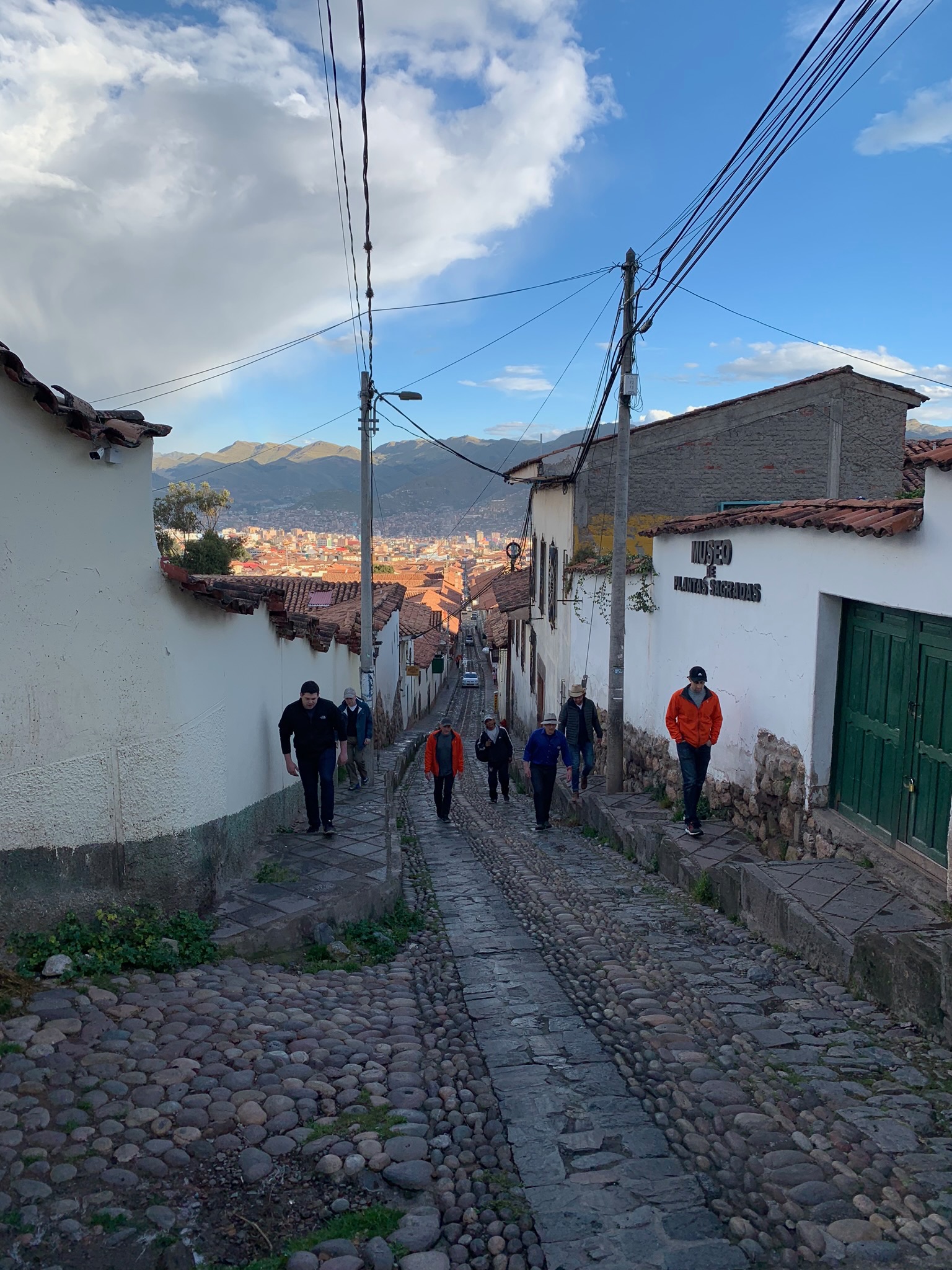 IMG_0017.jpeg