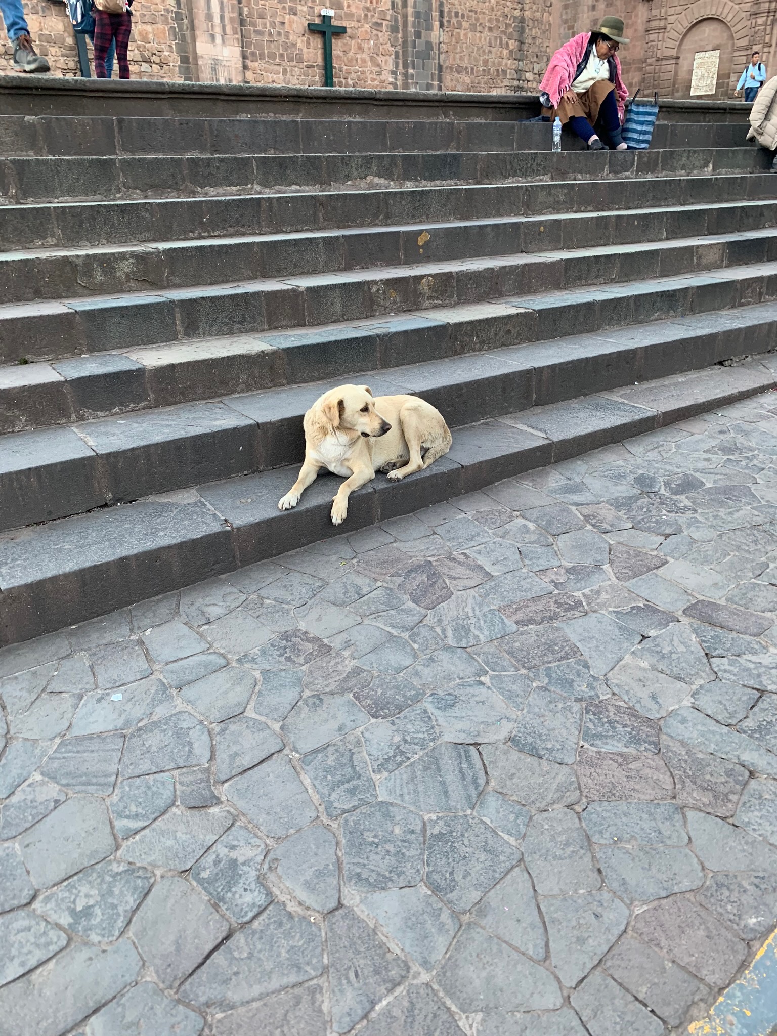 IMG_0060.jpeg
