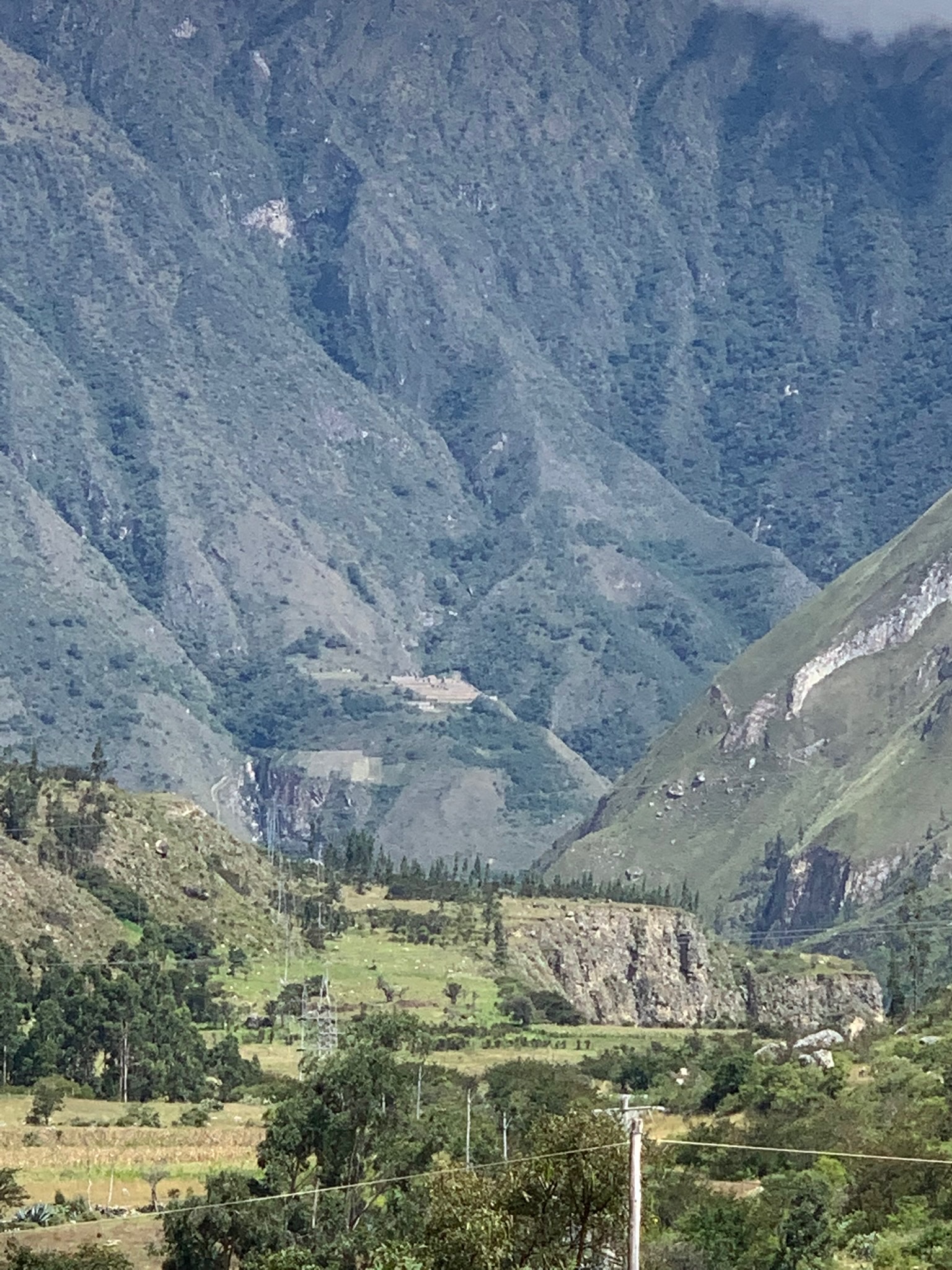 IMG_0102.jpeg