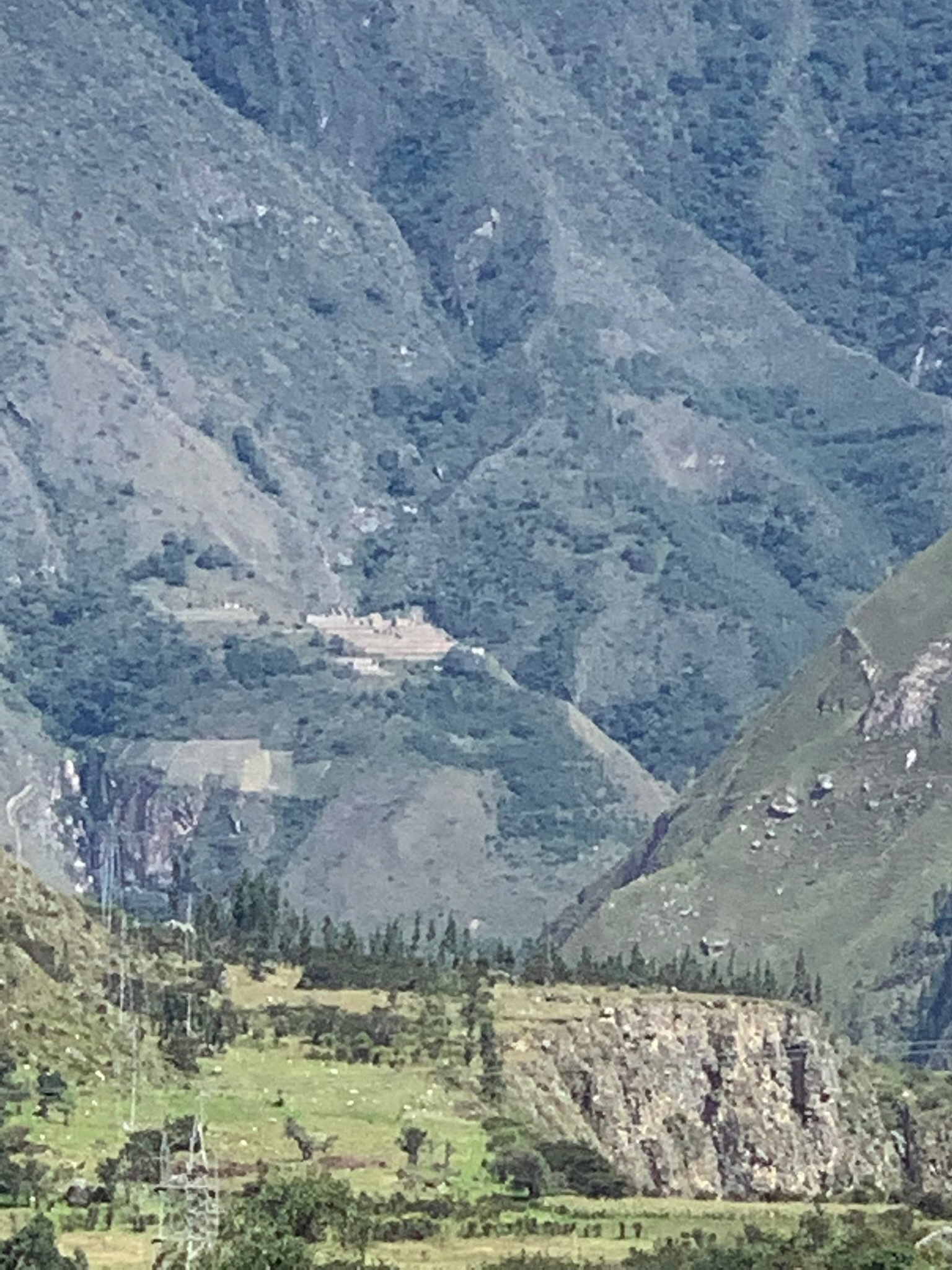 IMG_0103.jpeg