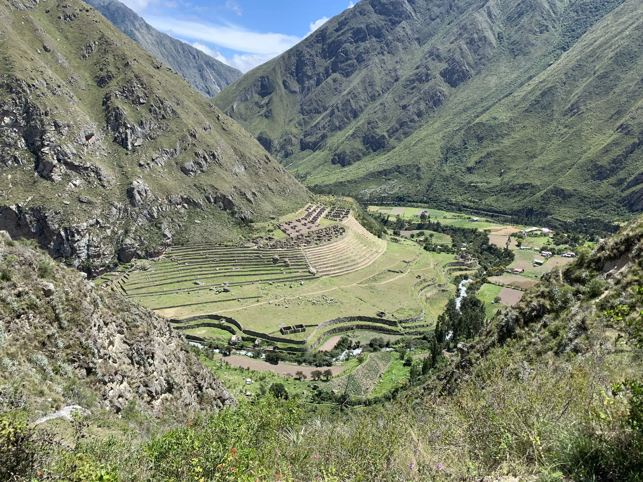 IMG_0115.jpg