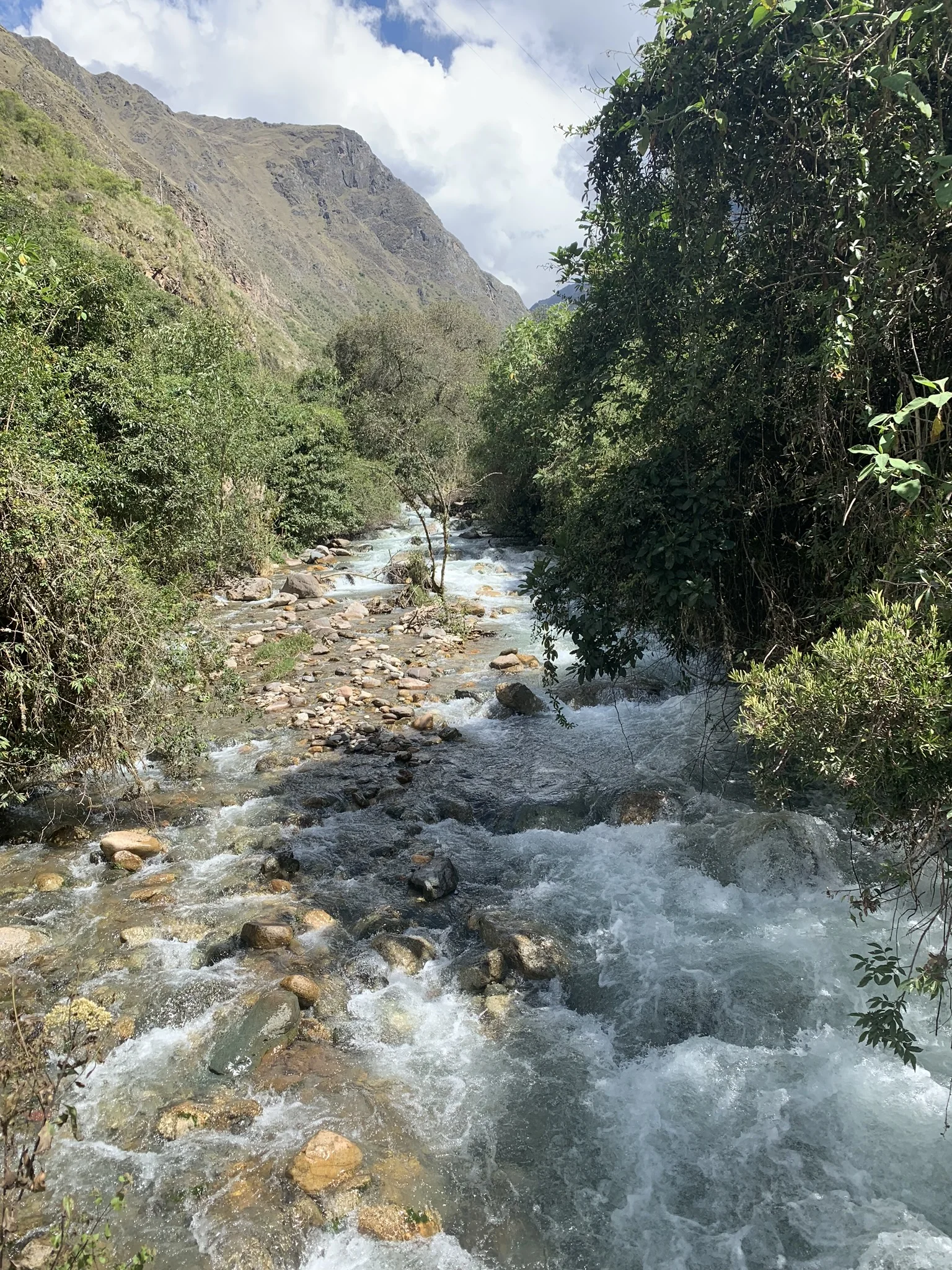 IMG_0138.jpg
