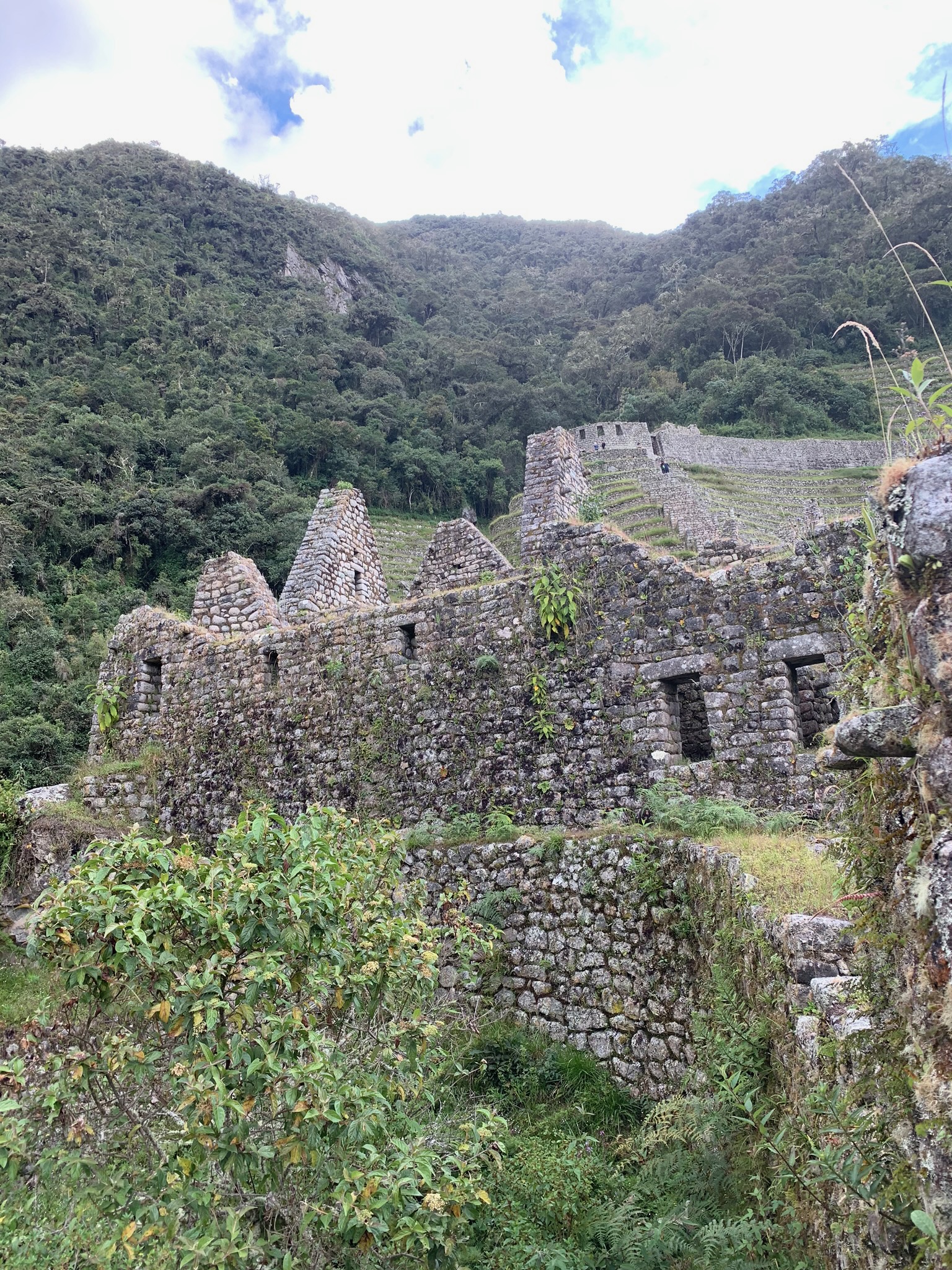 IMG_0380.jpeg