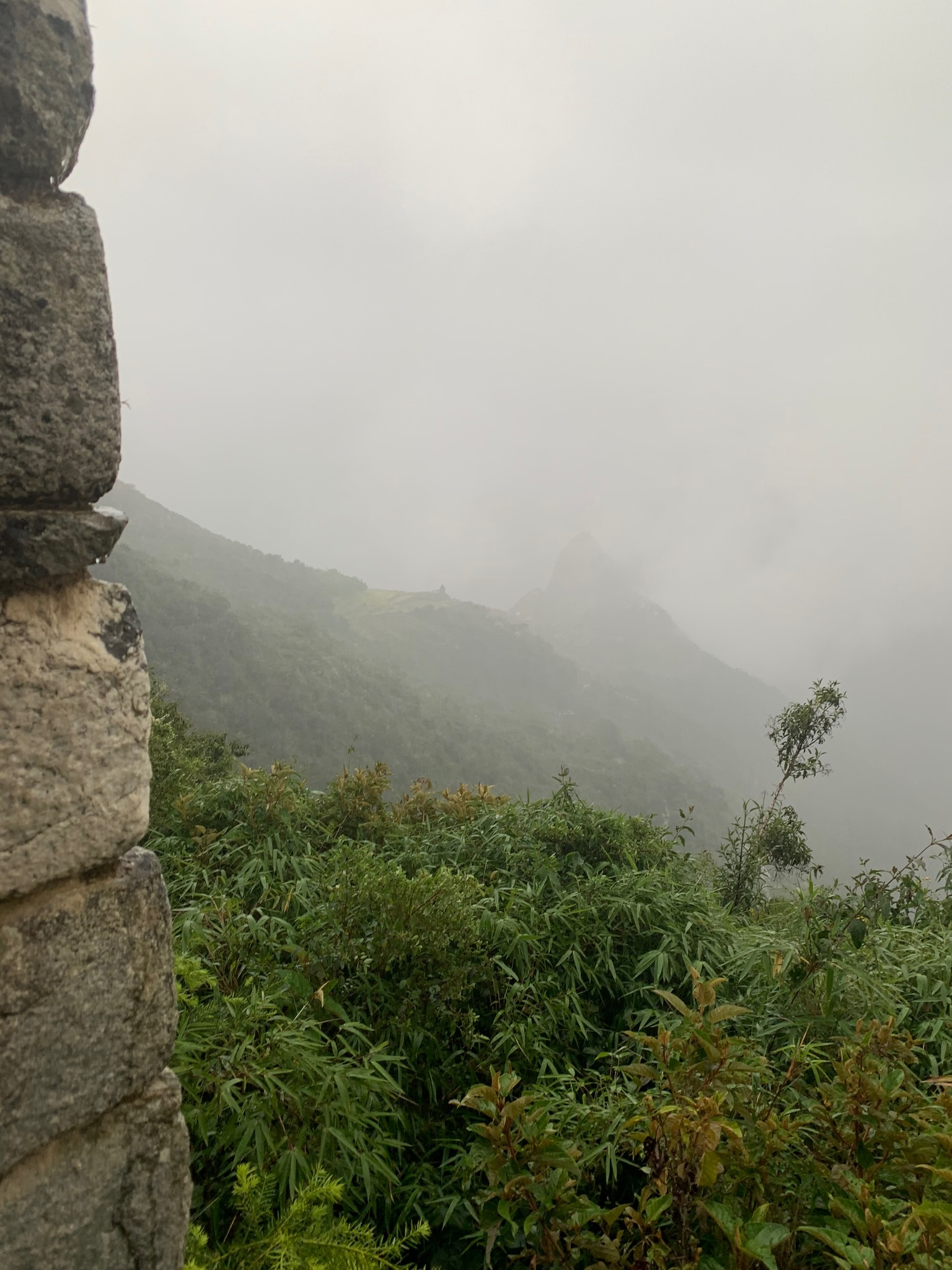 IMG_0391.jpeg