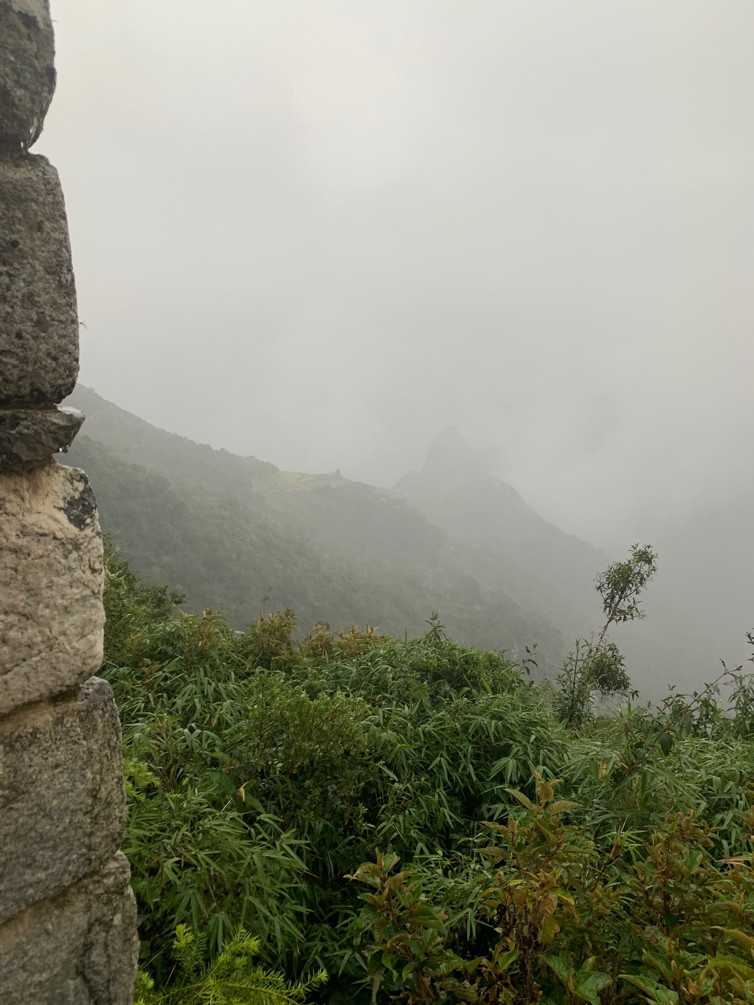 IMG_0392.jpeg