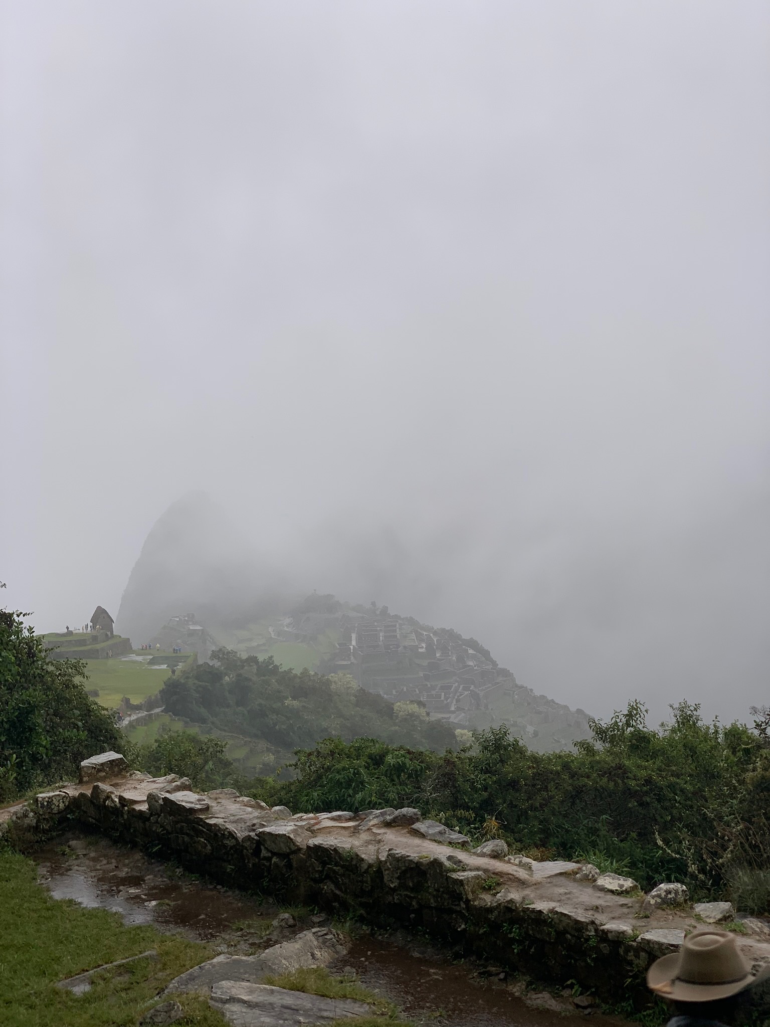 IMG_0395.jpeg