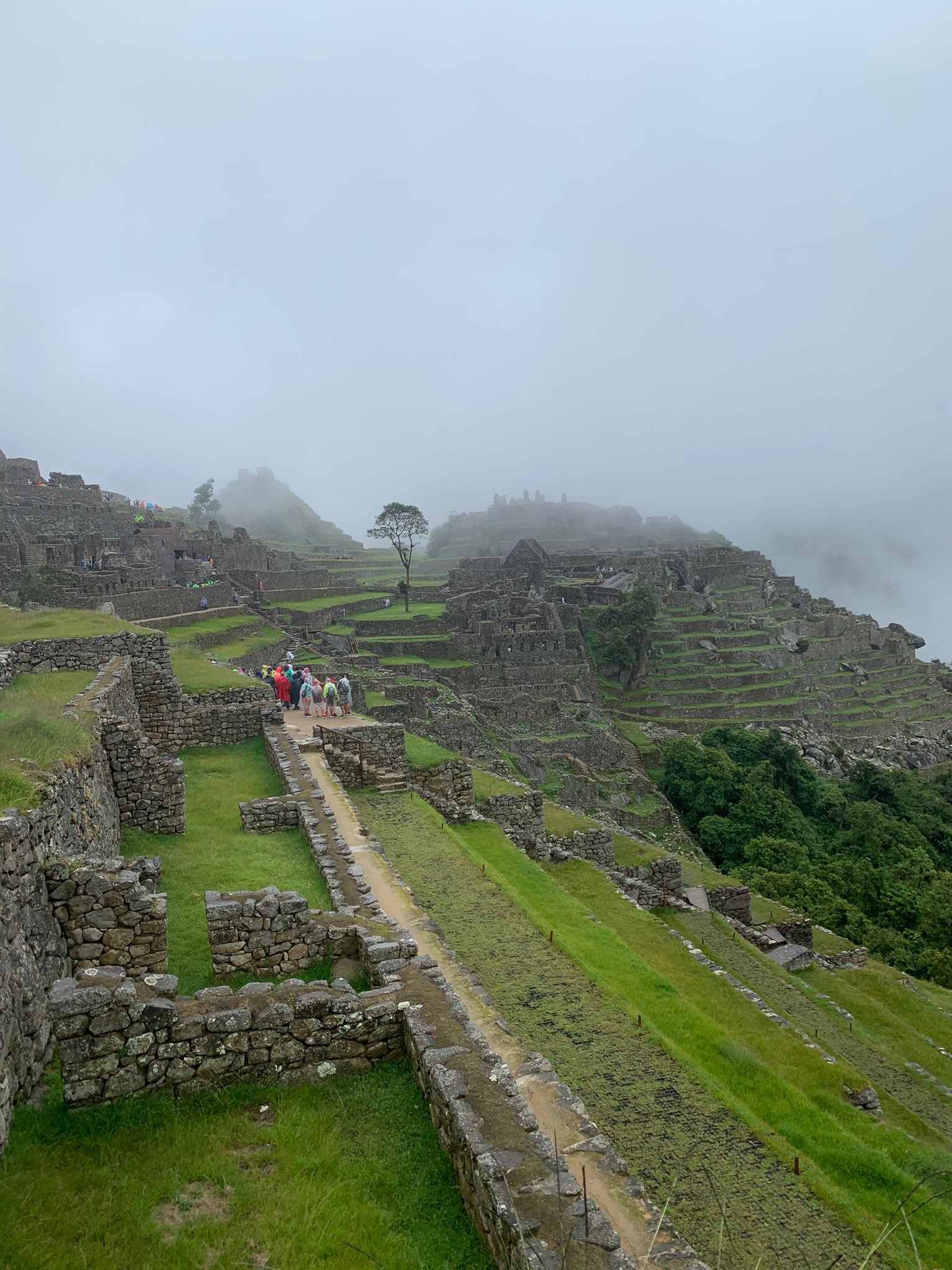 IMG_0444.jpeg