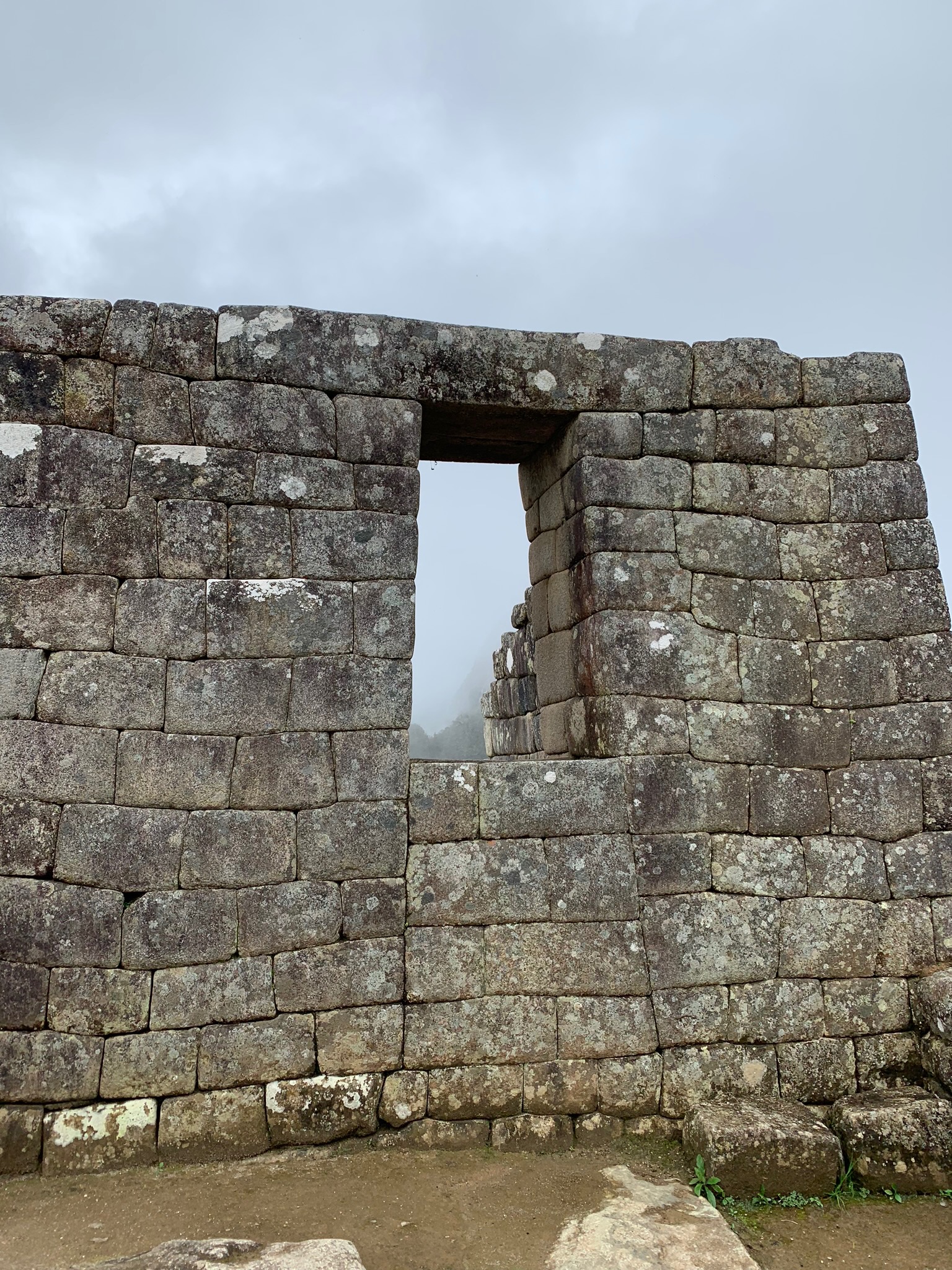 IMG_0528.jpeg
