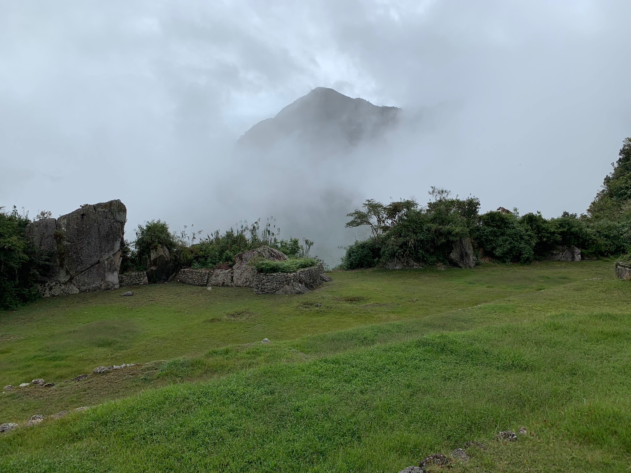 IMG_0541.jpeg