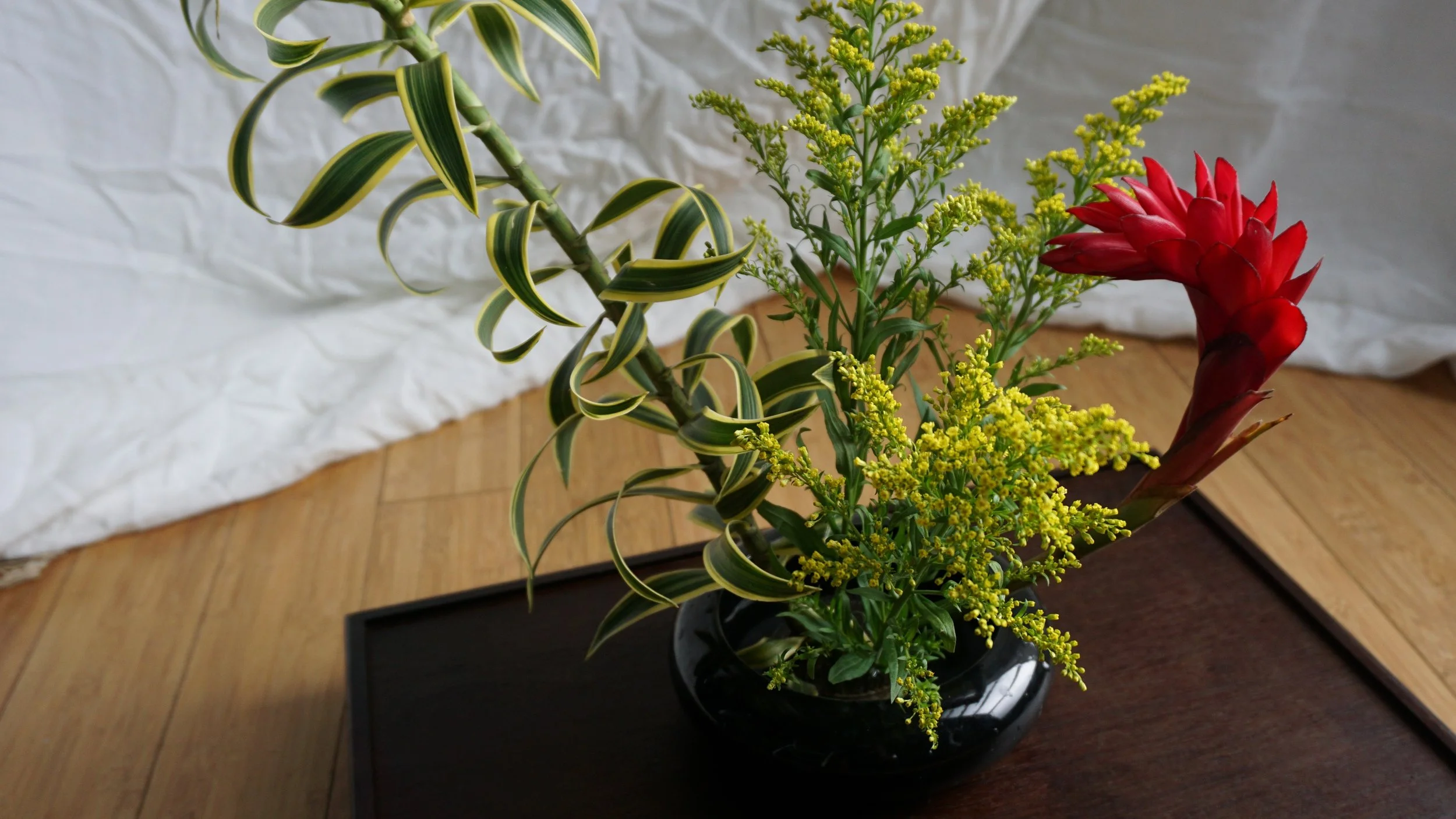 Michael Walker Ikebana 5.jpg