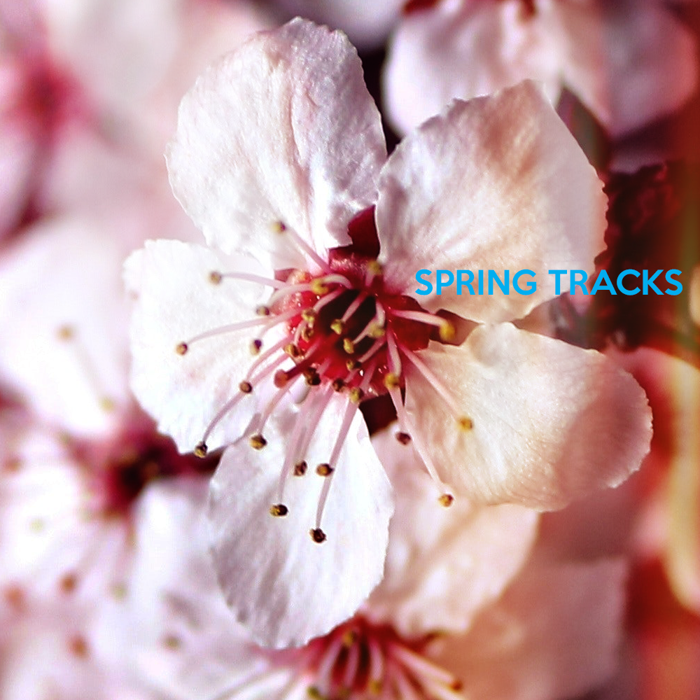 Spring Tracks 2018 album art.png