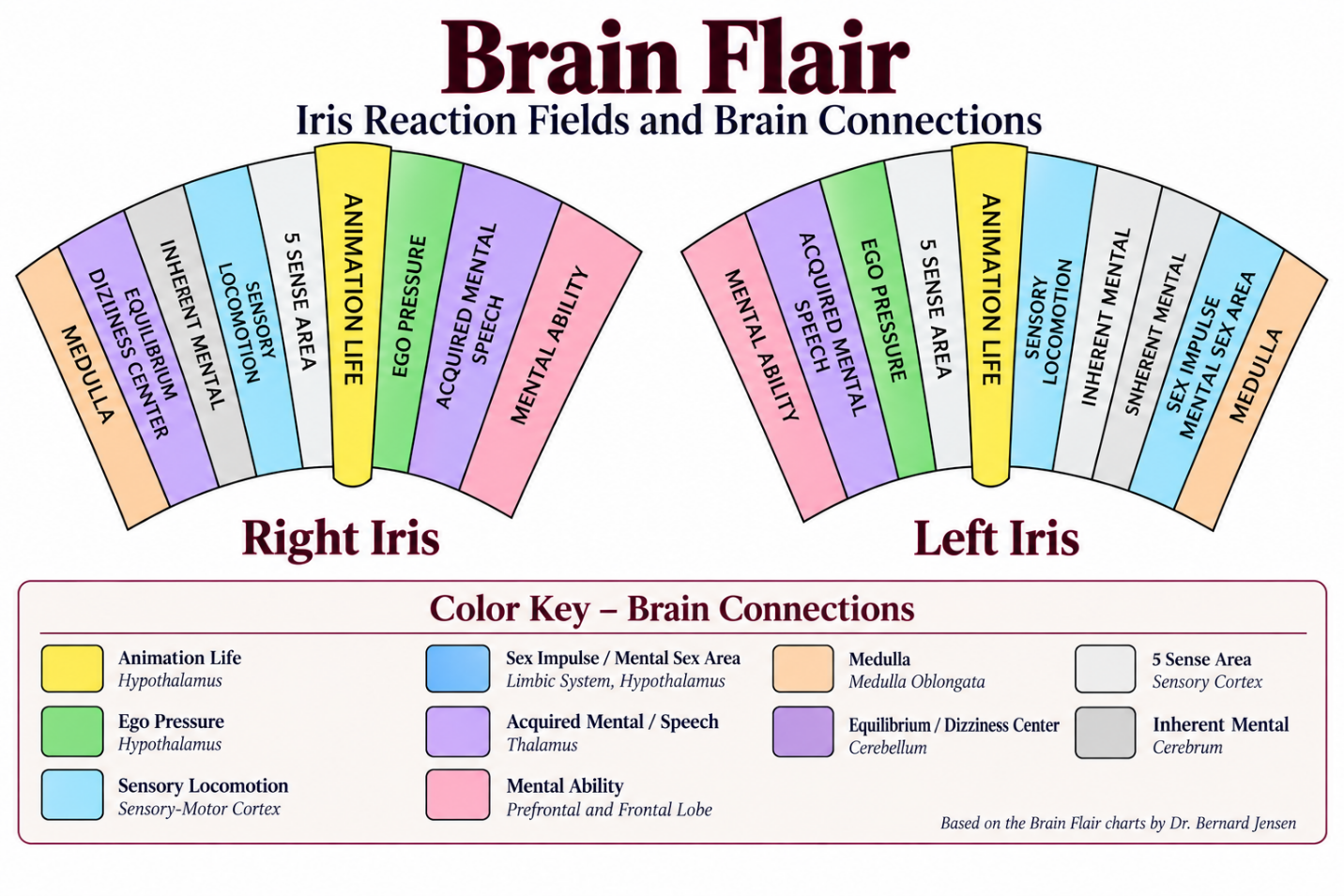The Iris, the Brain, and the Stress Response 