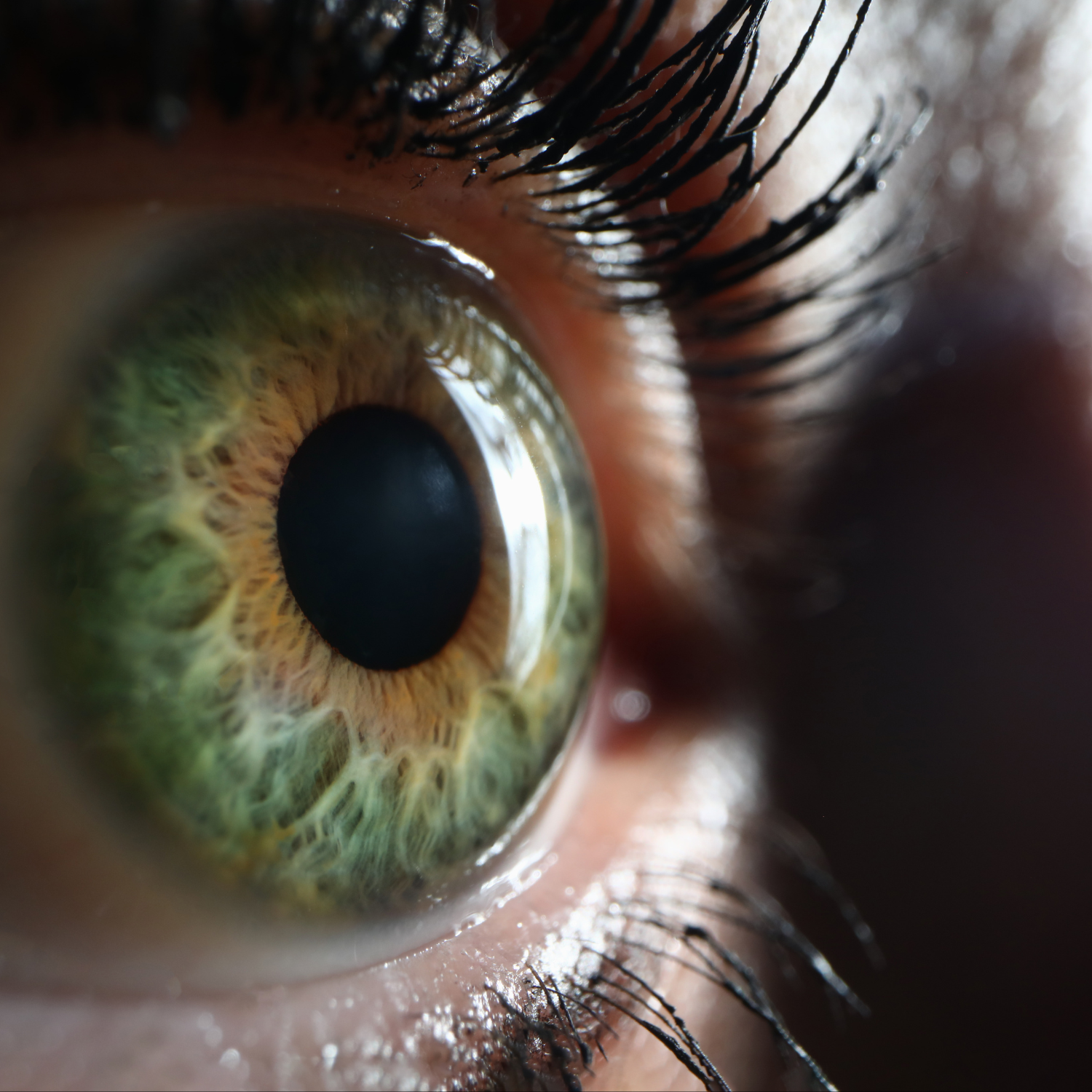 Extreme close-up photograph of a human eye featuring a blue iris with yellow and brown pigmentation surrounding the pupil, intricate iris fibers, and sharply defined eyelashes.