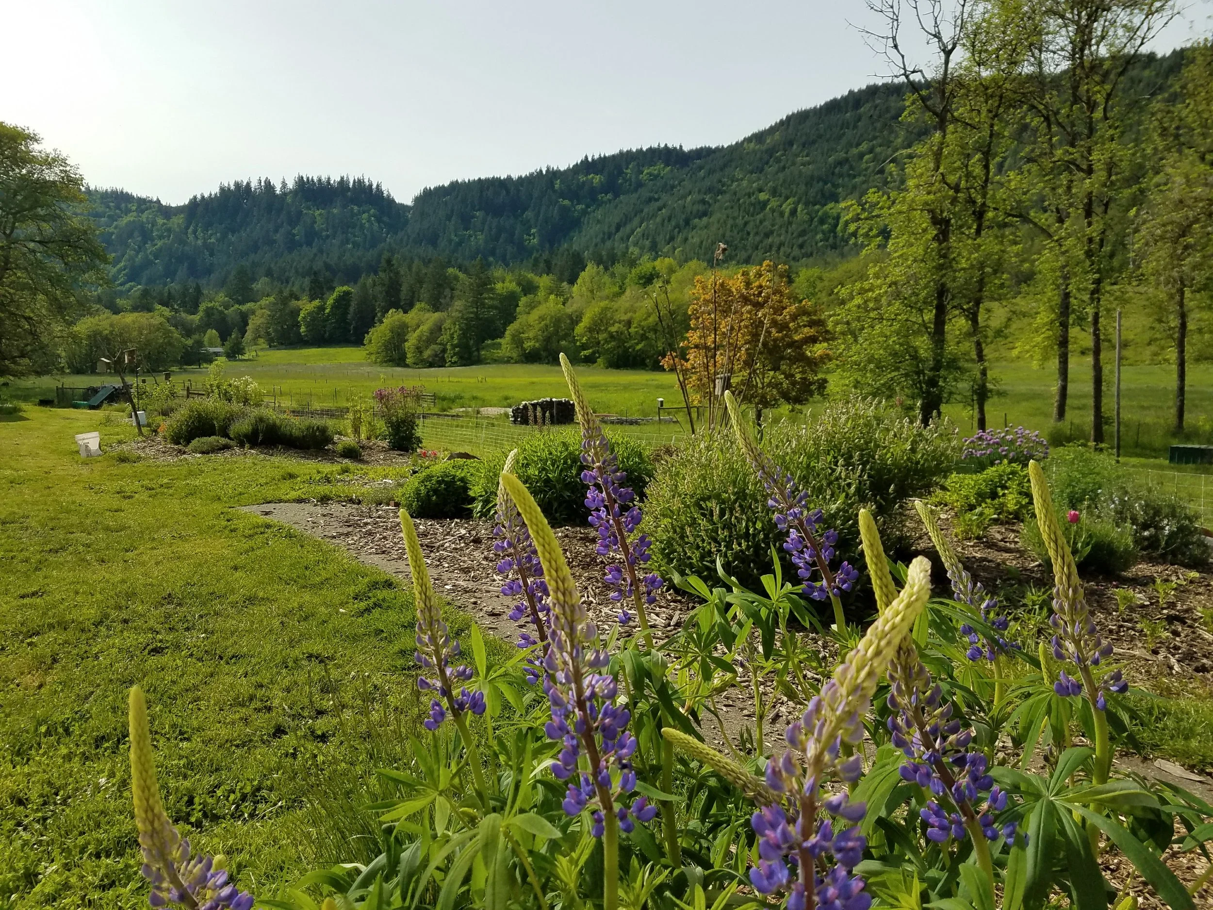 20170521_164833.jpg