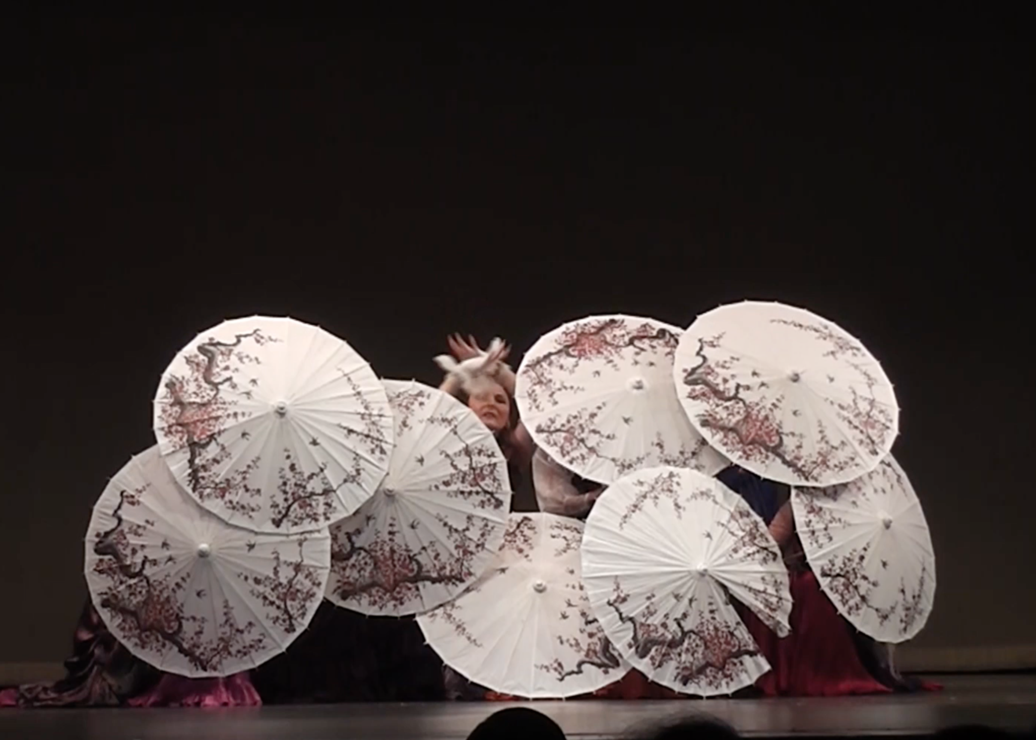 The DanceXpress Recital 2017: Take Flight