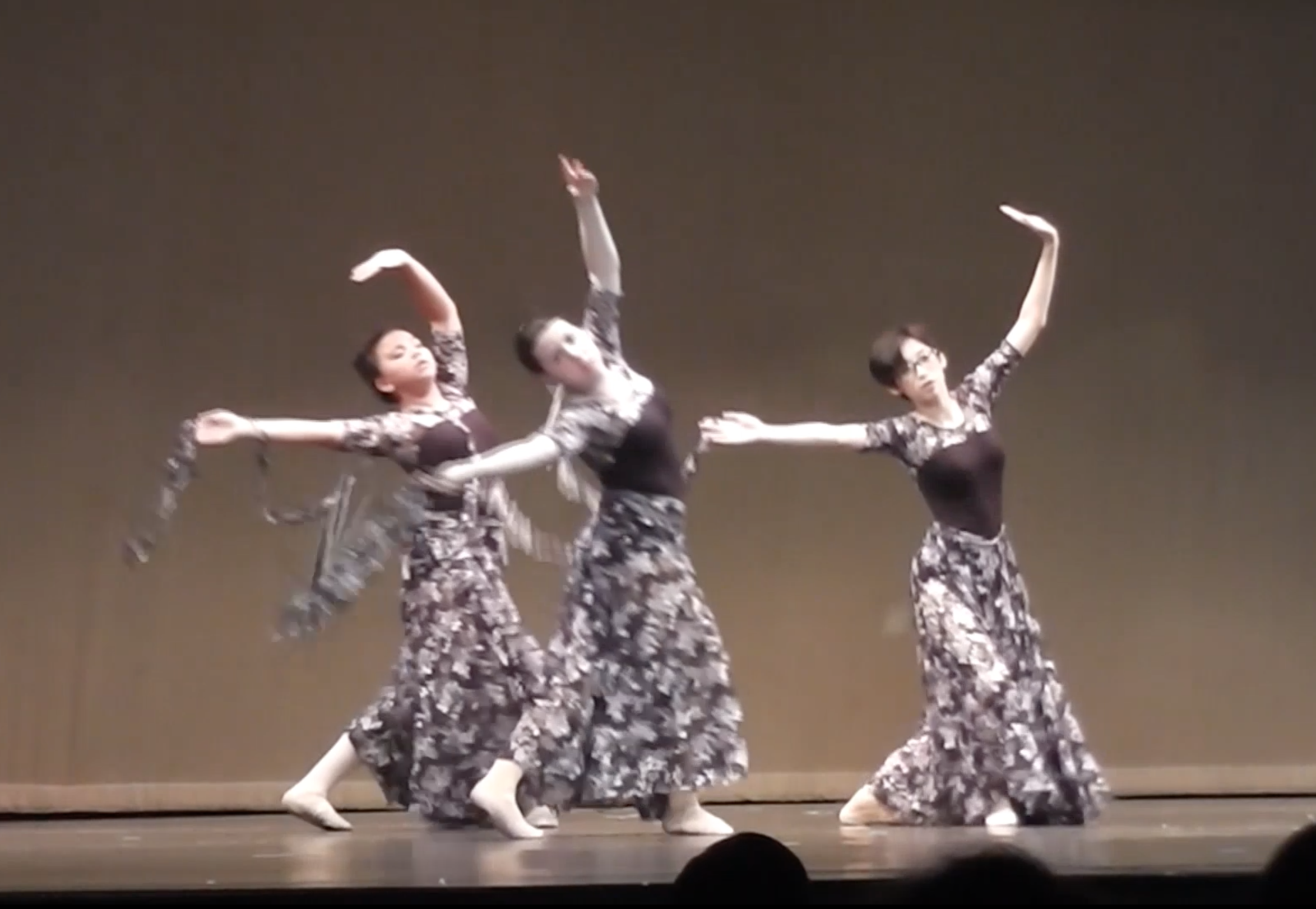 The DanceXpress Recital 2017: Hushabye Mountain