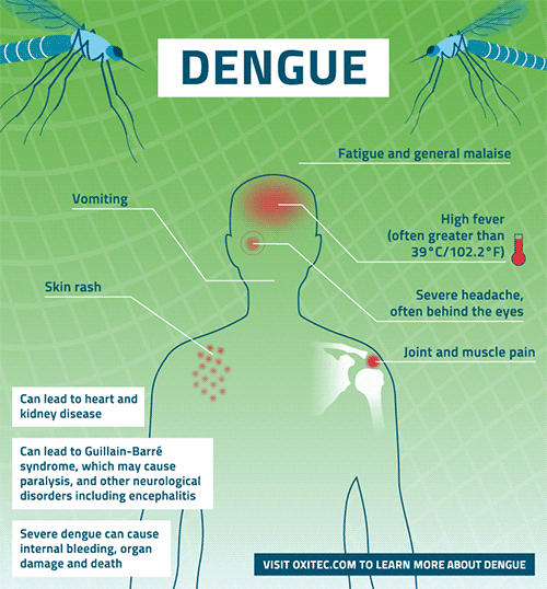 Dengue.gif