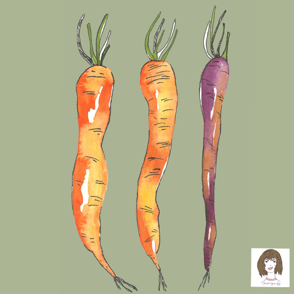 sja-2019-watercolor-carrots.jpg