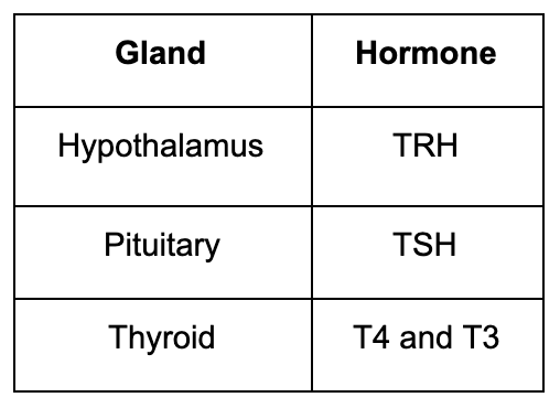 9 Thyroid Tests You Need To Know If Your Thyroid Is Healthy — Genesis ...