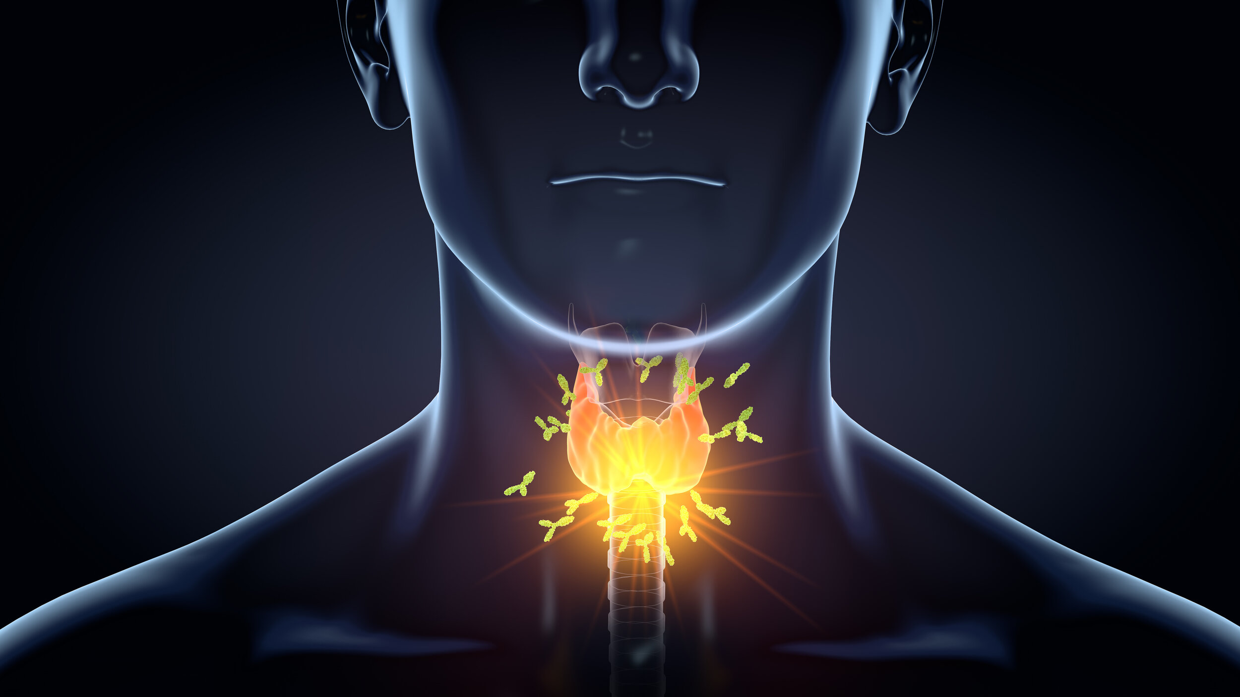 Why Ditching Gluten and Dairy May Help Autoimmune Thyroid Disease — Genesis  Performance Chiropractic of Elverson, PA