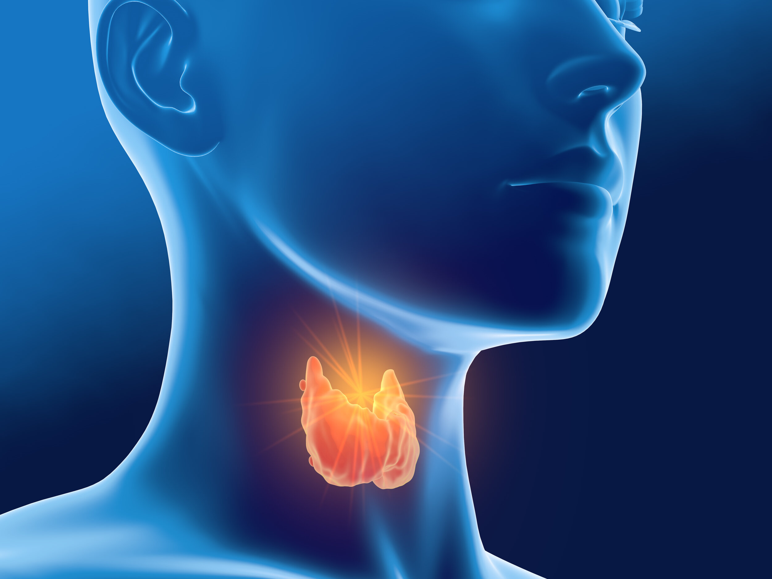 Could Your Thyroid Be the Cause of Your Digestive Woes? — Genesis Performance Chiropractic of Elverson, PA