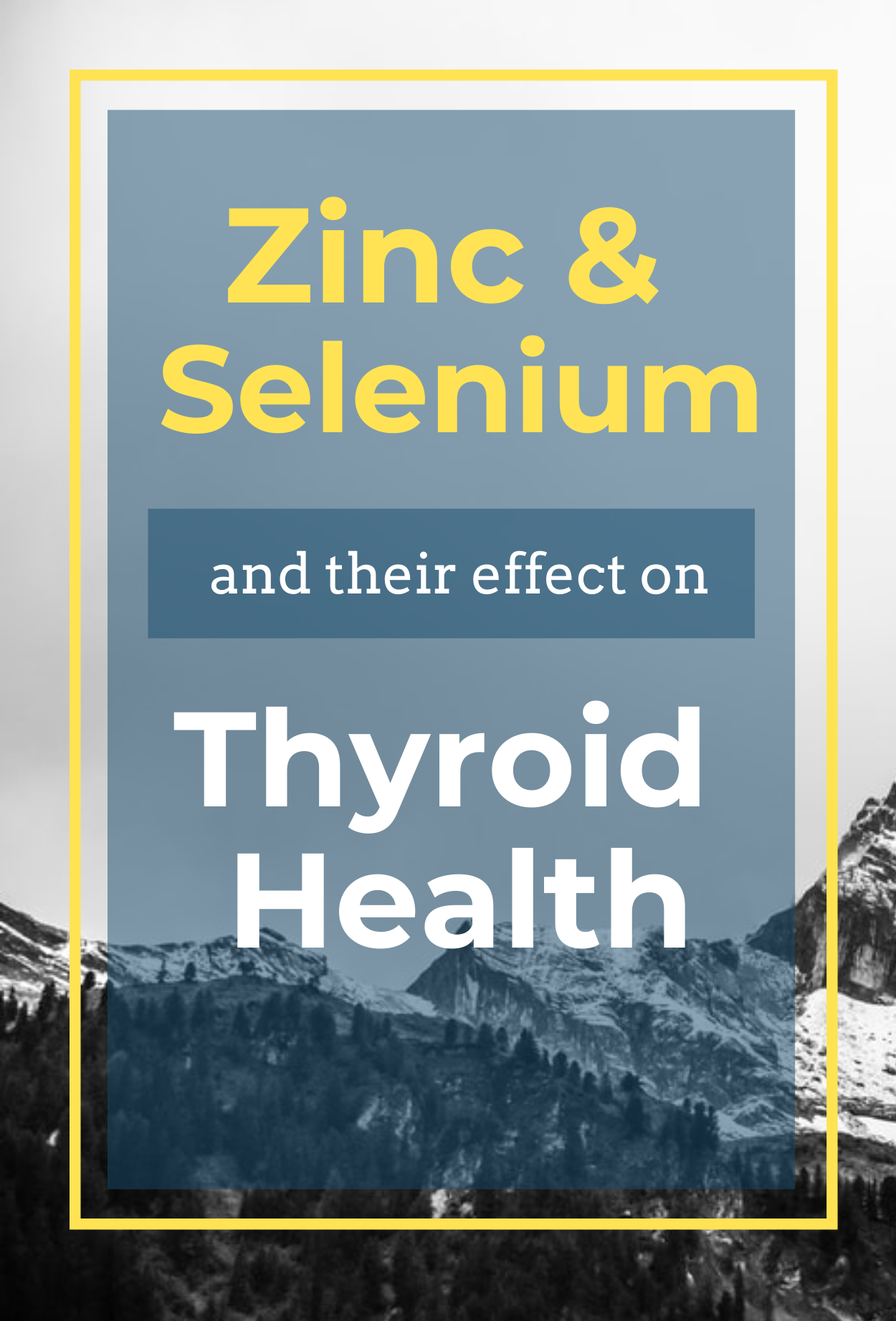Zinc & Selenium and Their Effect on Thyroid Health