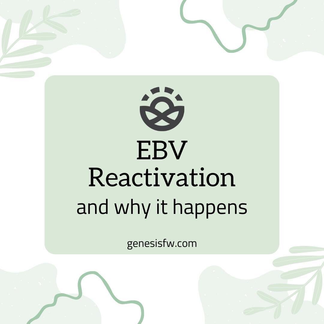 We have talked in earlier posts about the Epstein-Barr Virus and how it affects the thyroid.

The Epstein-Barr Virus is a virus that directly falls underneath the herpes family. 

It's estimated that around 90% of the human population has had EBV. 

