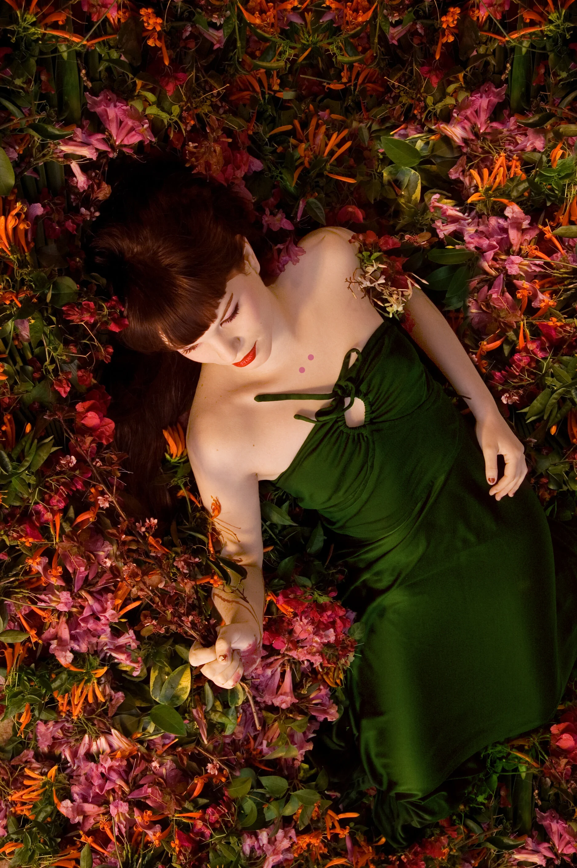 primavera eterna_1_f.jpg