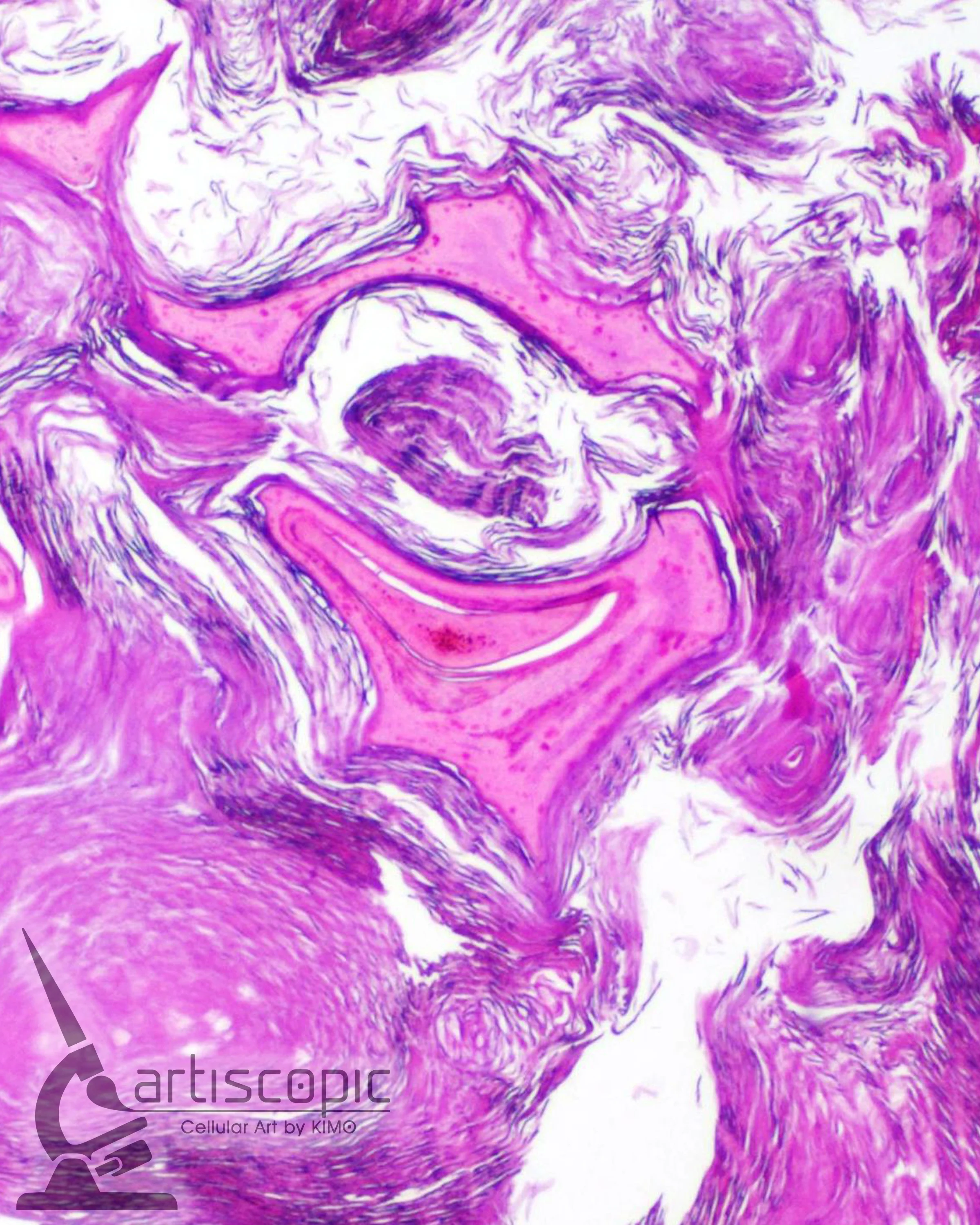 Chaos-8x10 (watermark).jpg