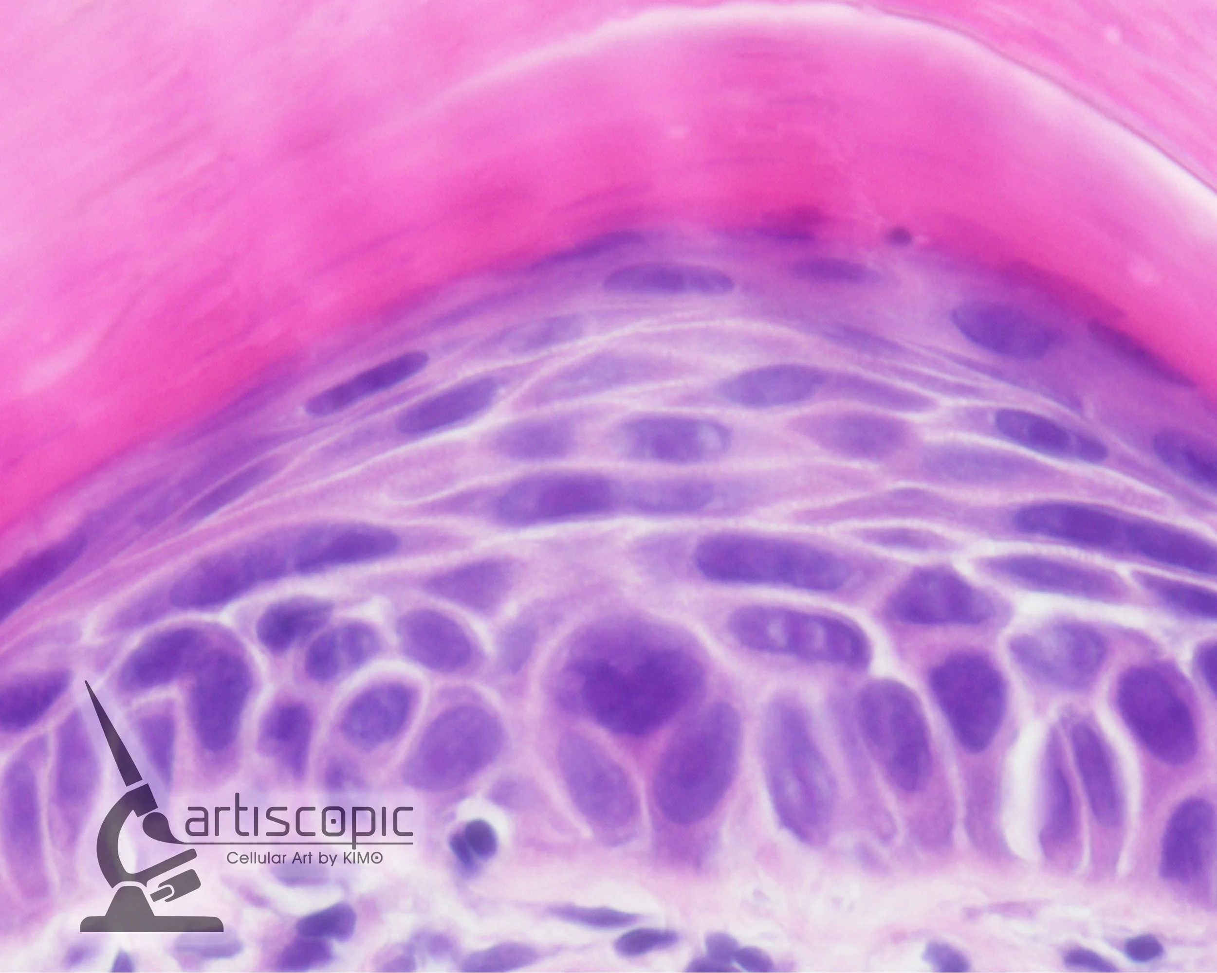 Heart-10x8(watermark).jpg