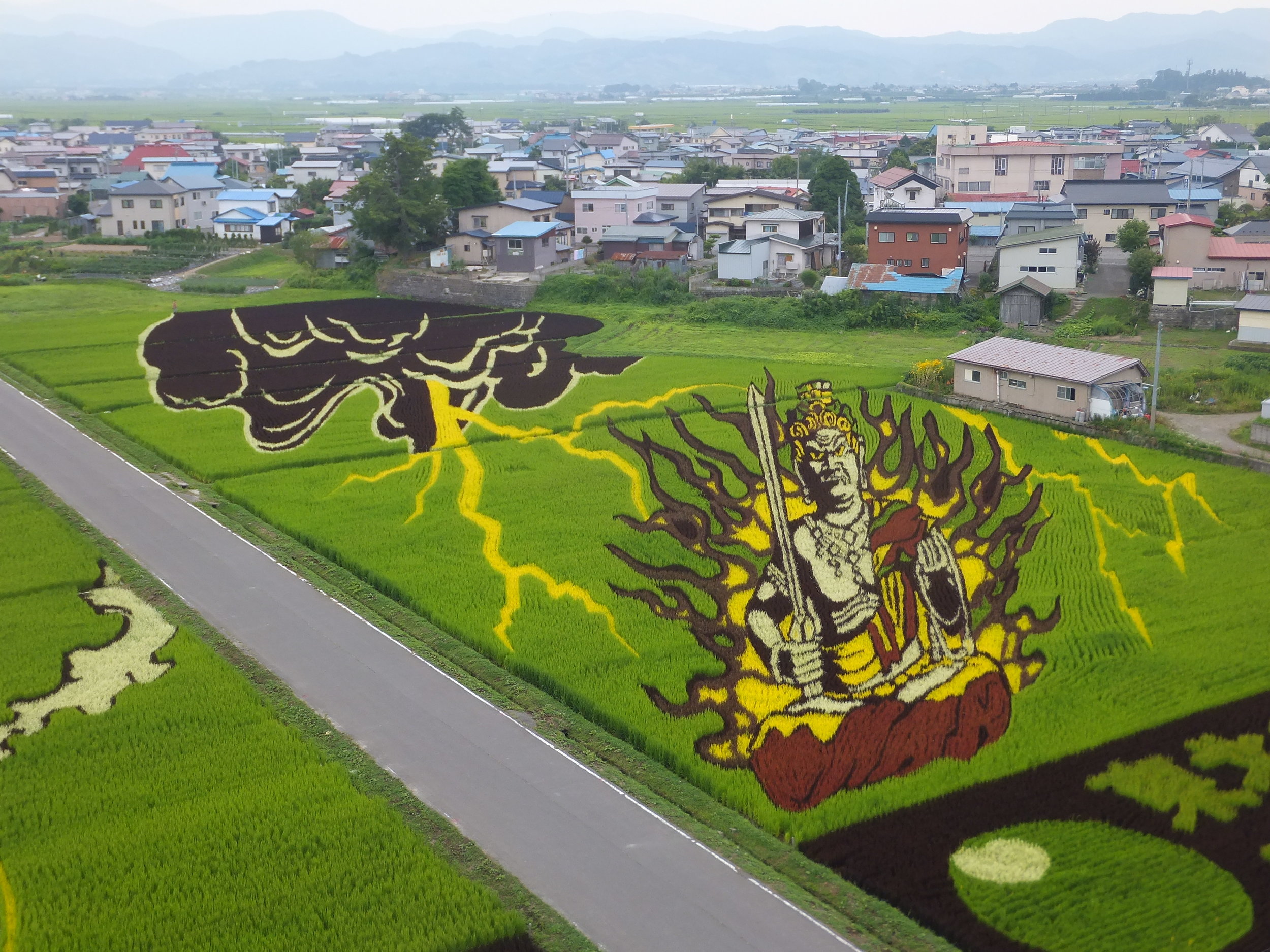 Grainy views are a good thing: A village in Japan uses rice paddies as canvases for art (American Way)