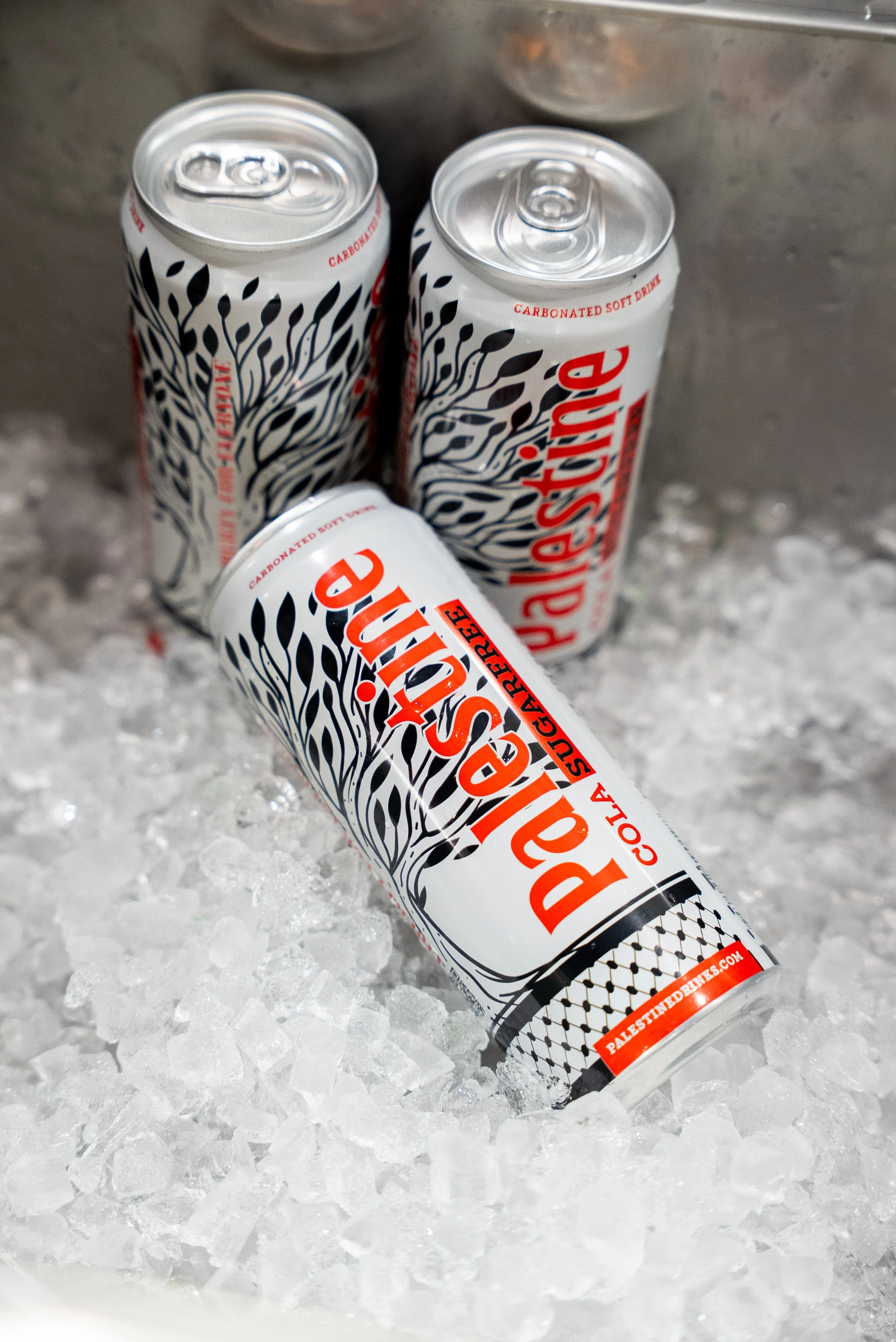 7.23.25 (233 of 244).jpg