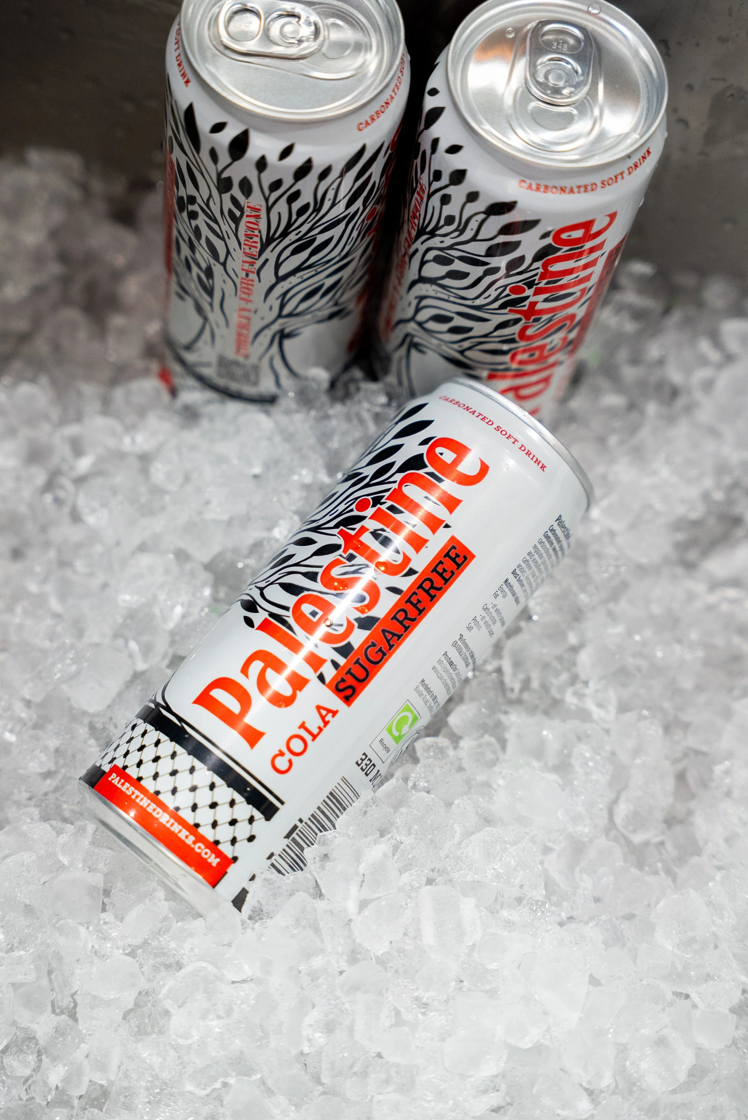 7.23.25 (234 of 244).jpg