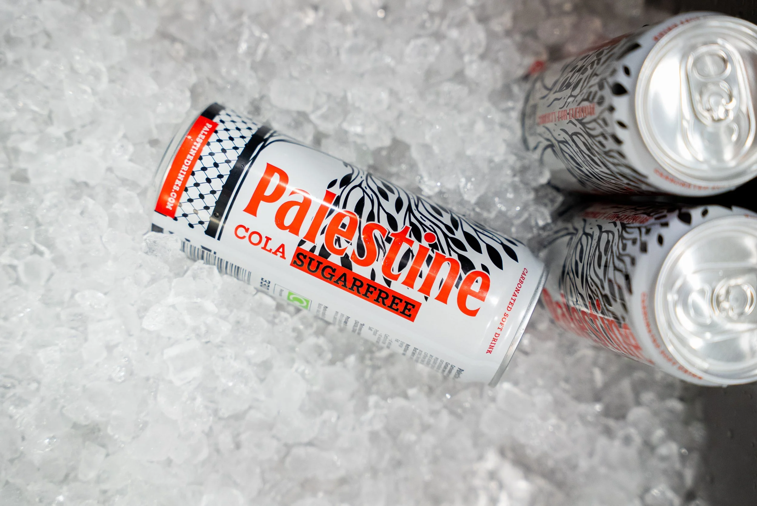 7.23.25 (235 of 244).jpg