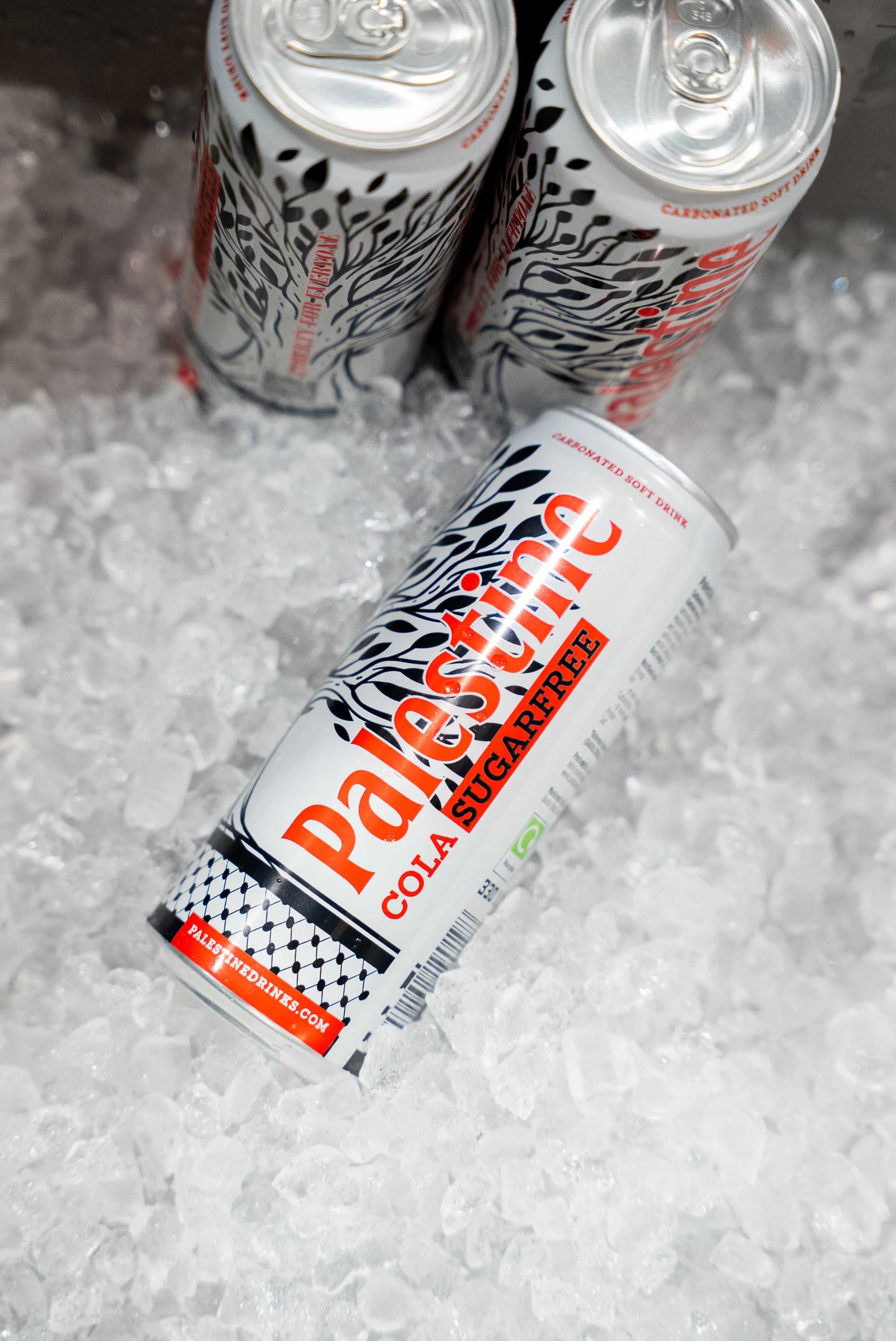 7.23.25 (237 of 244).jpg