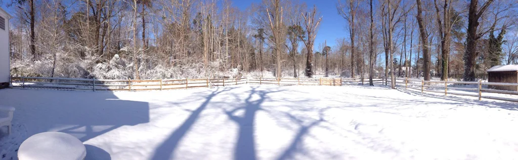 Our little slice of Chesapeake.