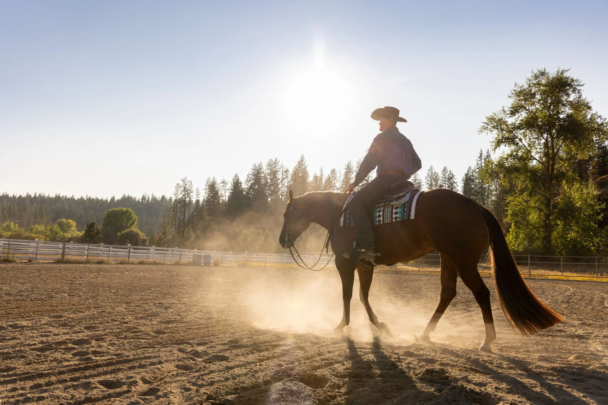 Alex_Waren_Horses-0760 (1).jpg