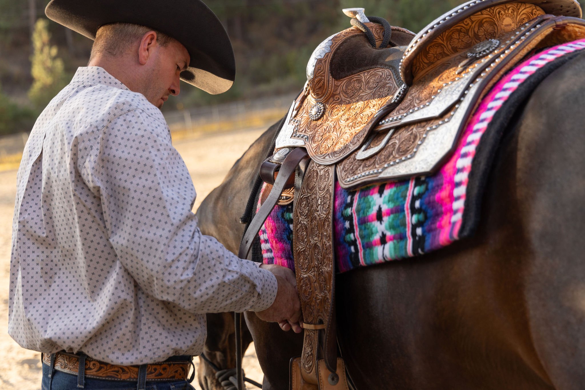 Alex_Waren_Horses-0862 (1).jpg