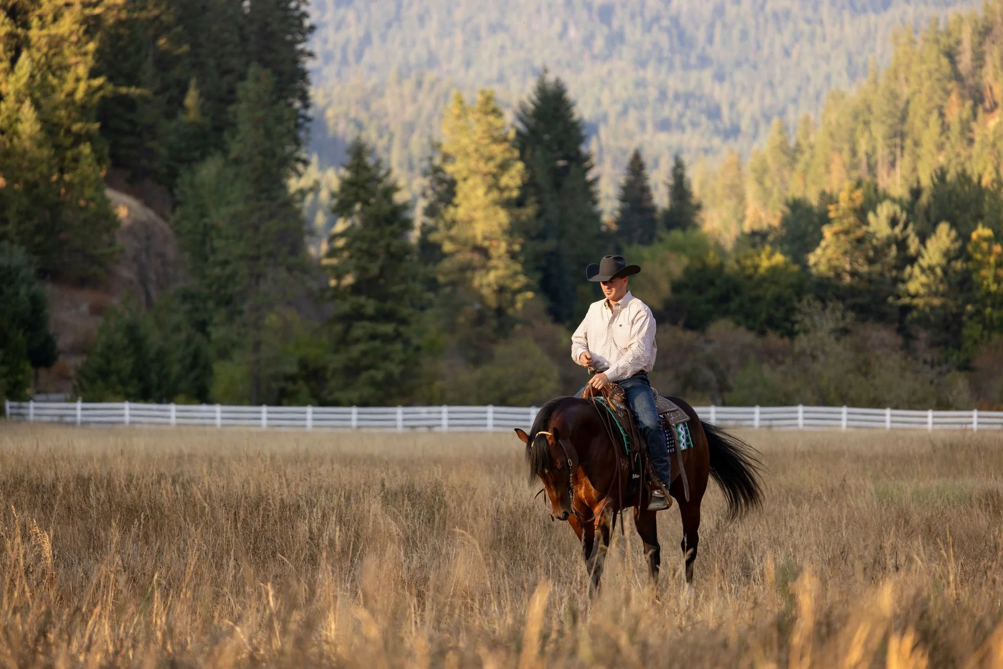 Alex_Waren_Horses-1572 (1).jpg