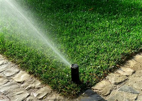 Irrigation Picture.jpg