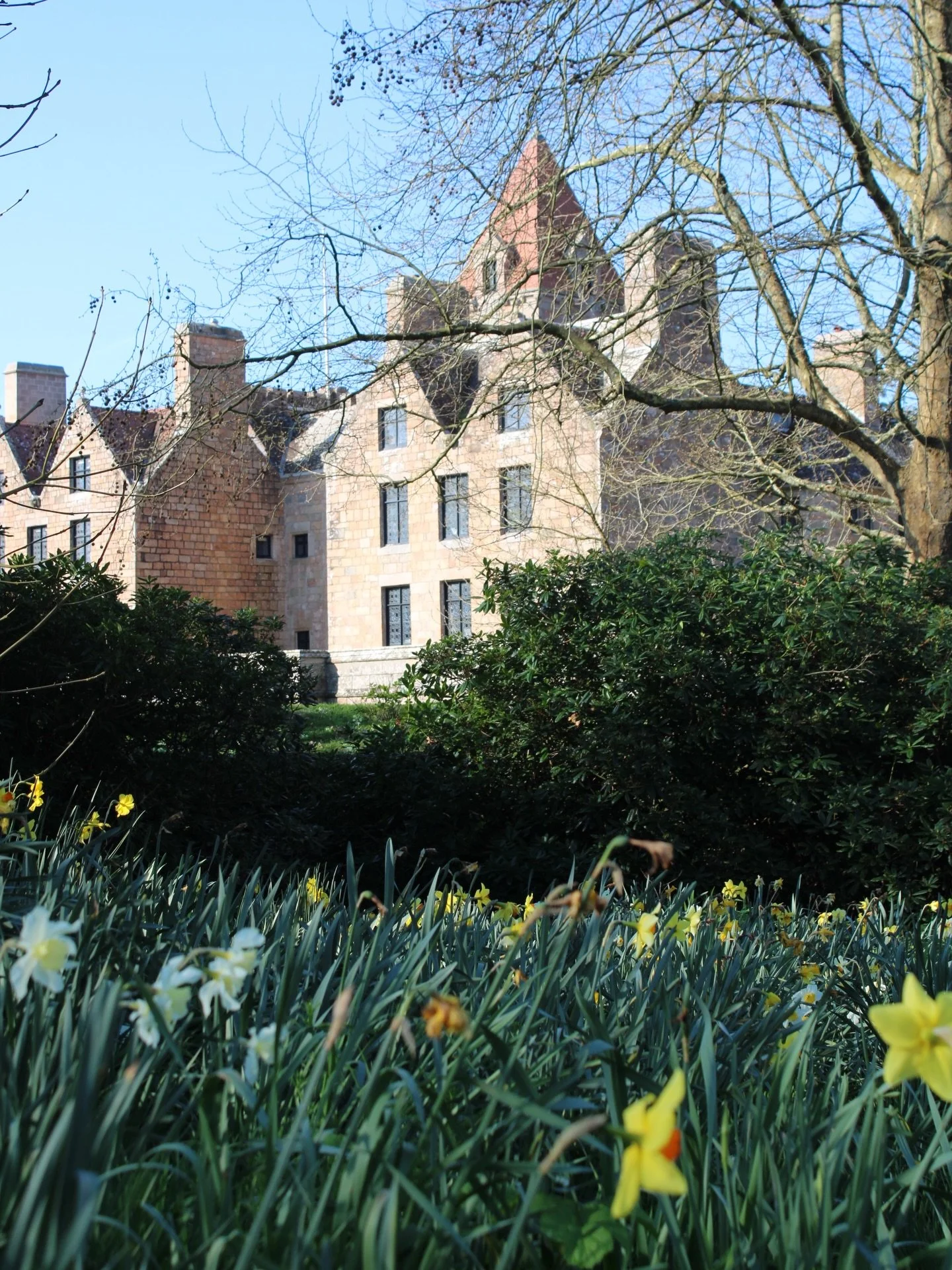 Celebrate love in the heart of a historic manor house and beautiful grounds 💍

Head over to our website at stouensmanor.com to find out more and get in touch.