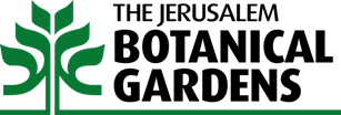 botanical.png