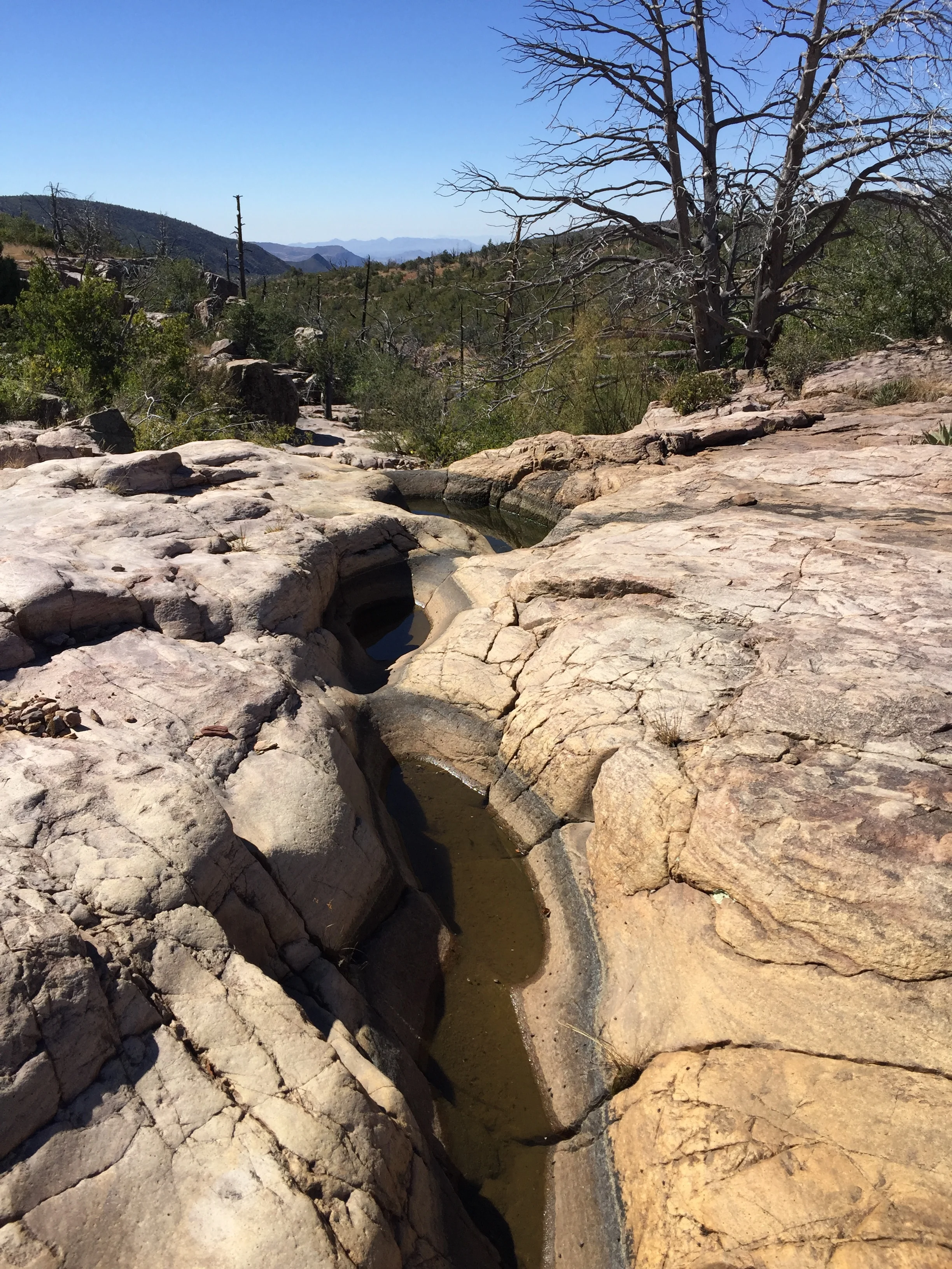 Weeks three and four, Arizona Trail