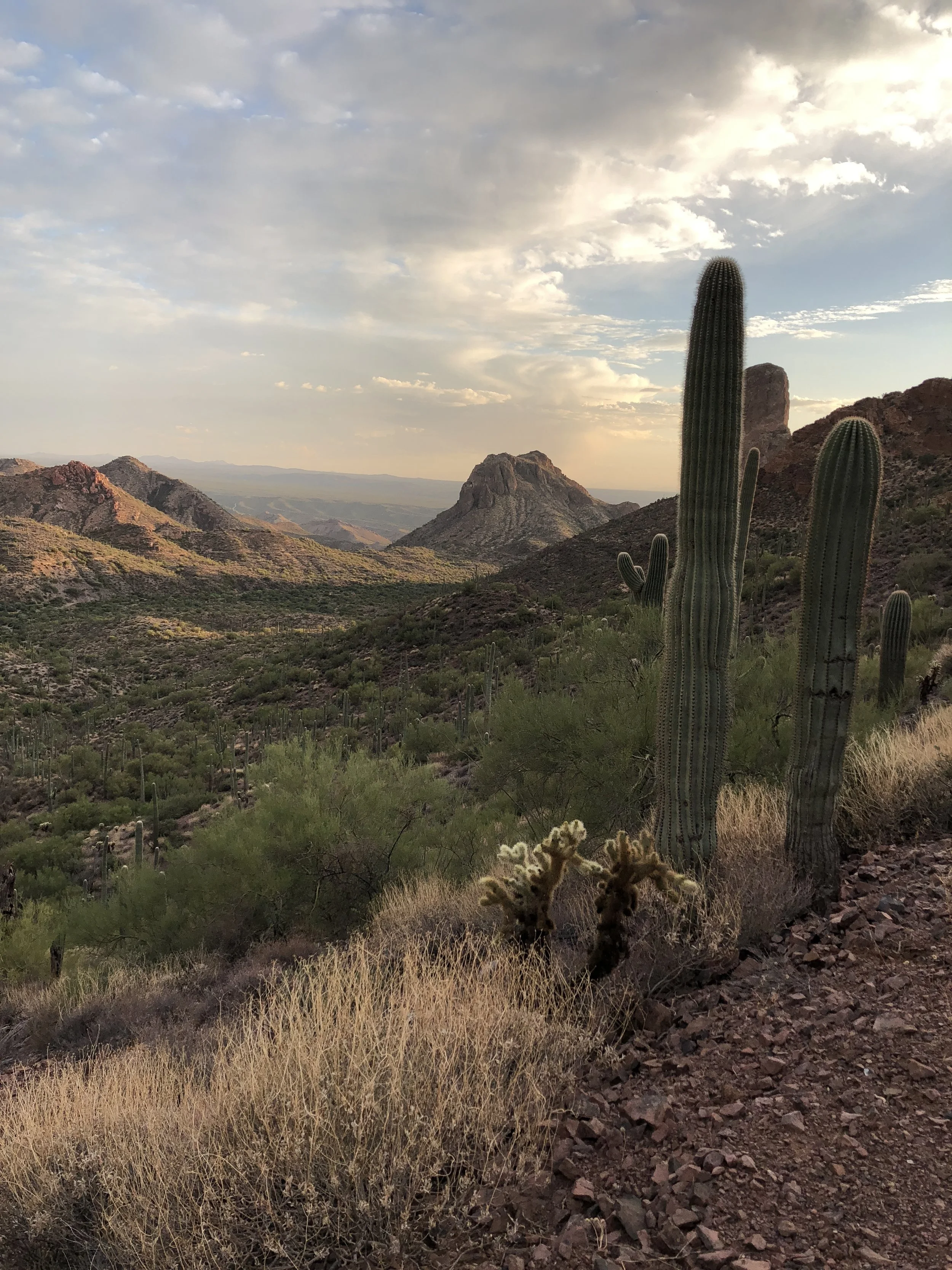 Another week on the old AZT